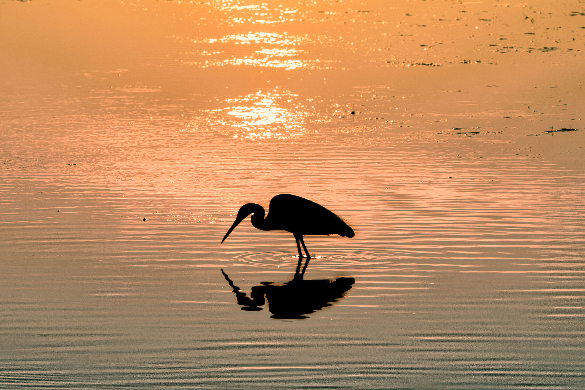 Tramonto a Lio Piccolo