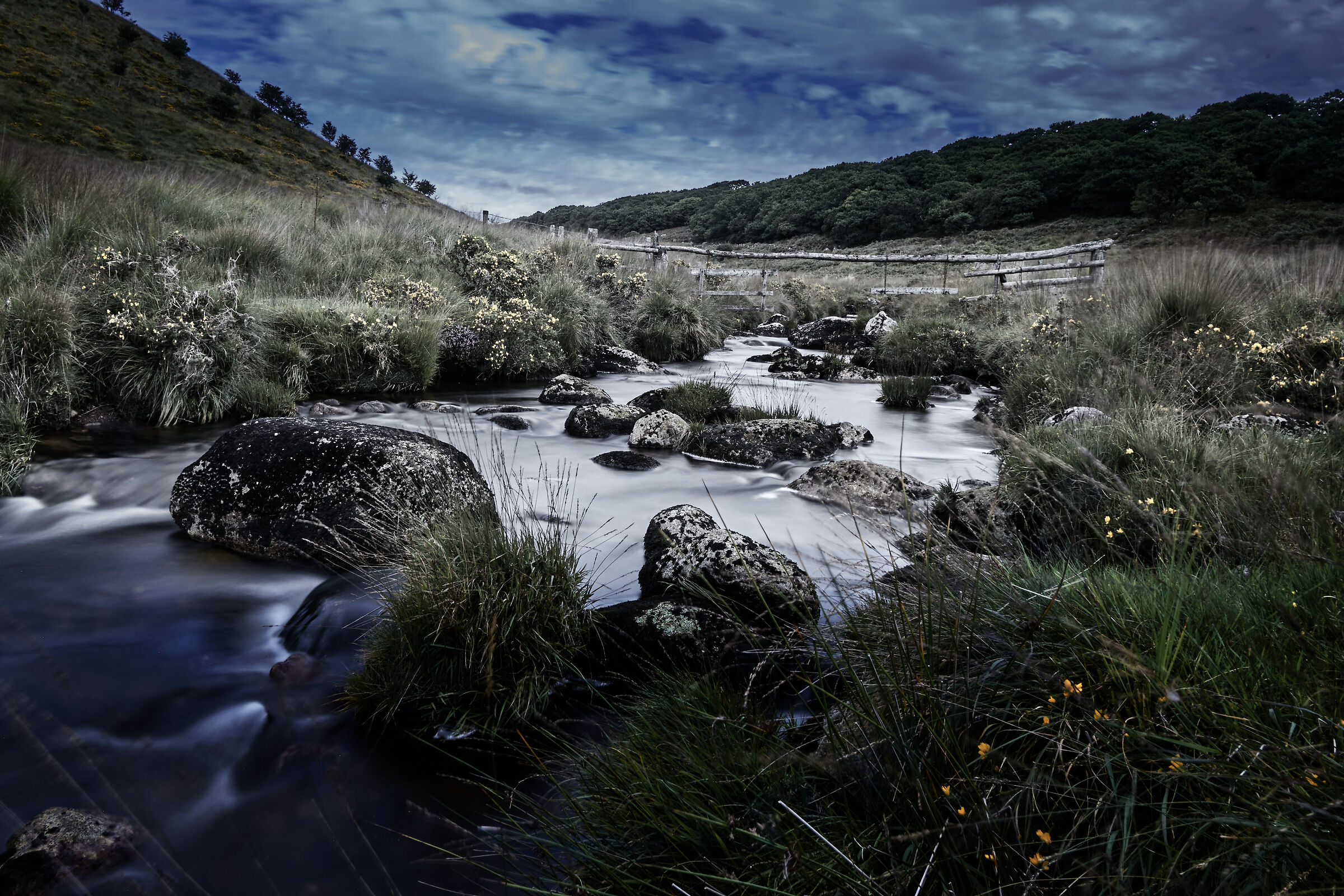 West Dart River 01