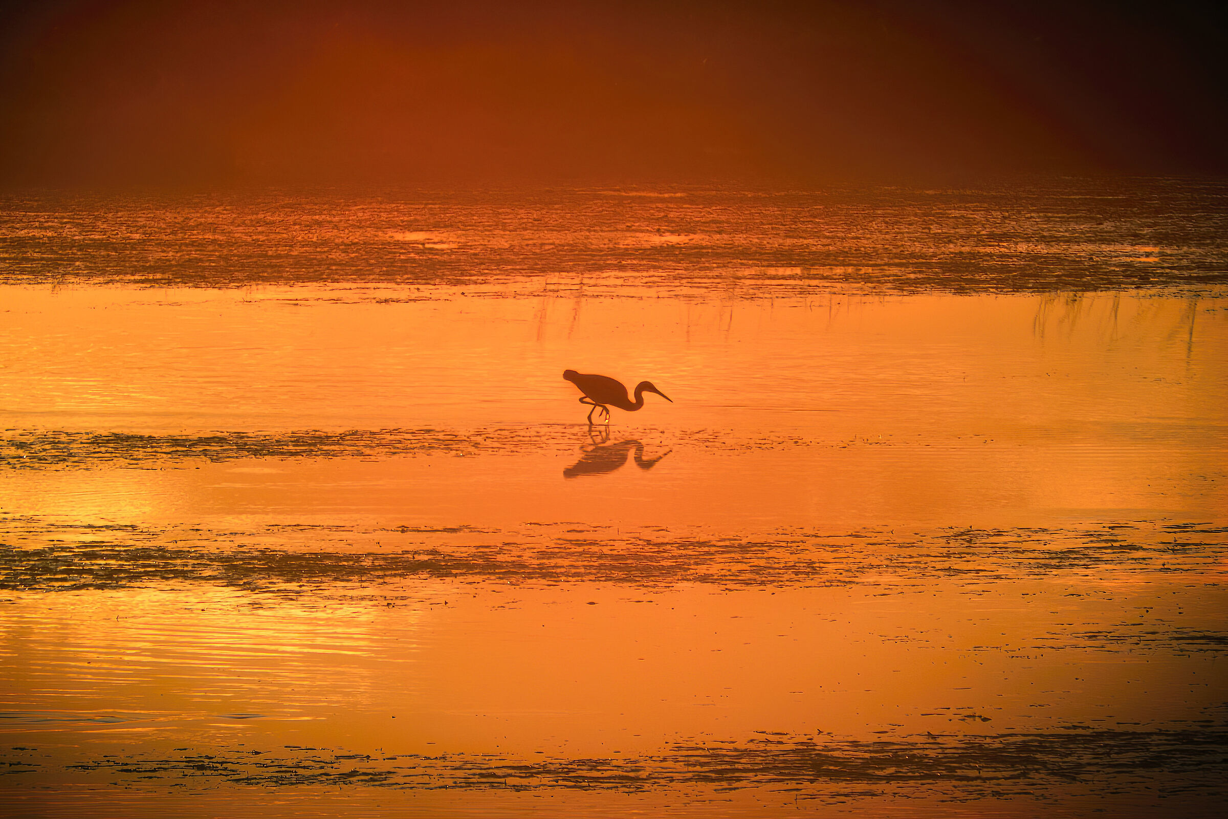 Pescando al tramonto