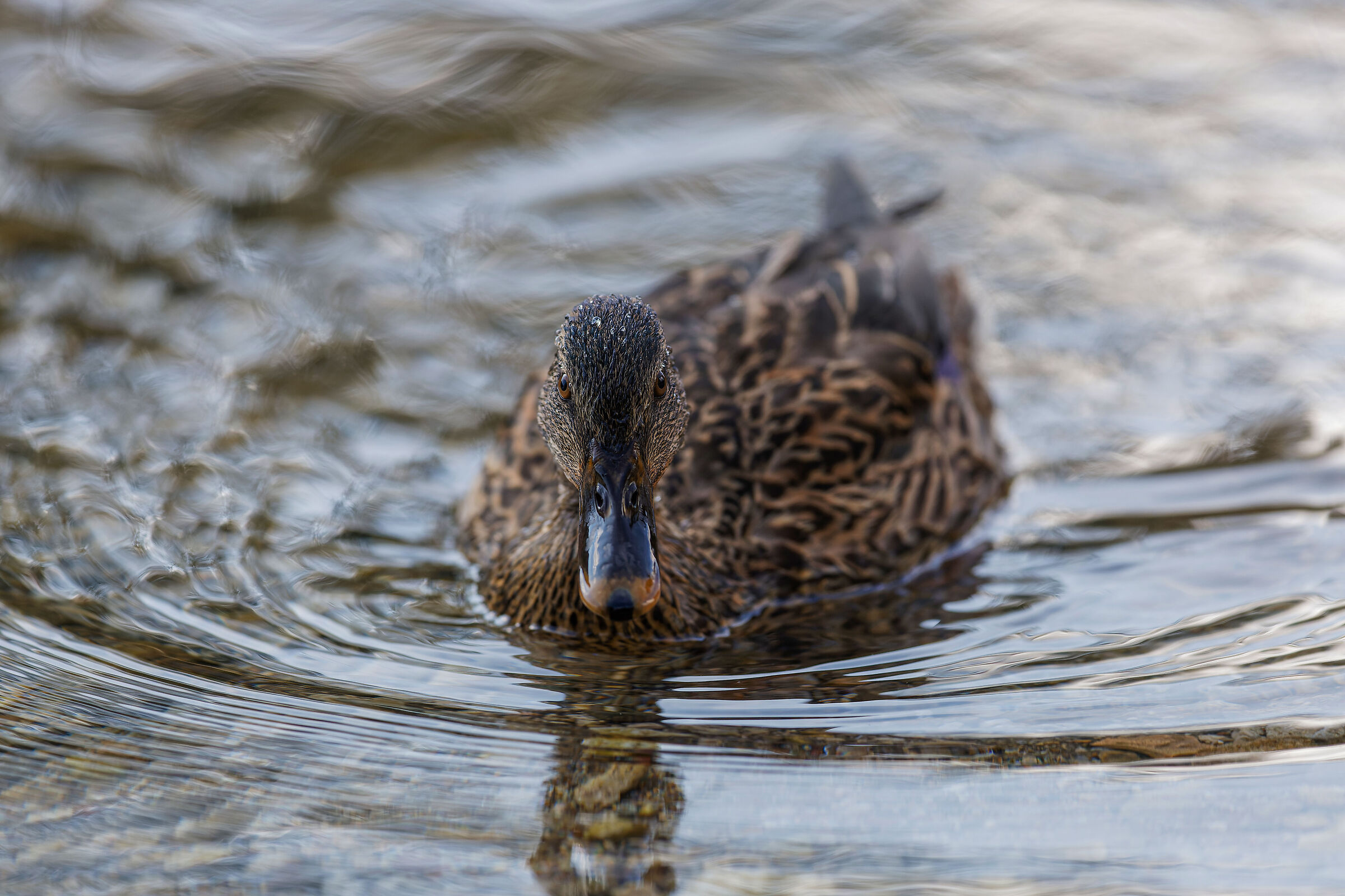 Close but not too close