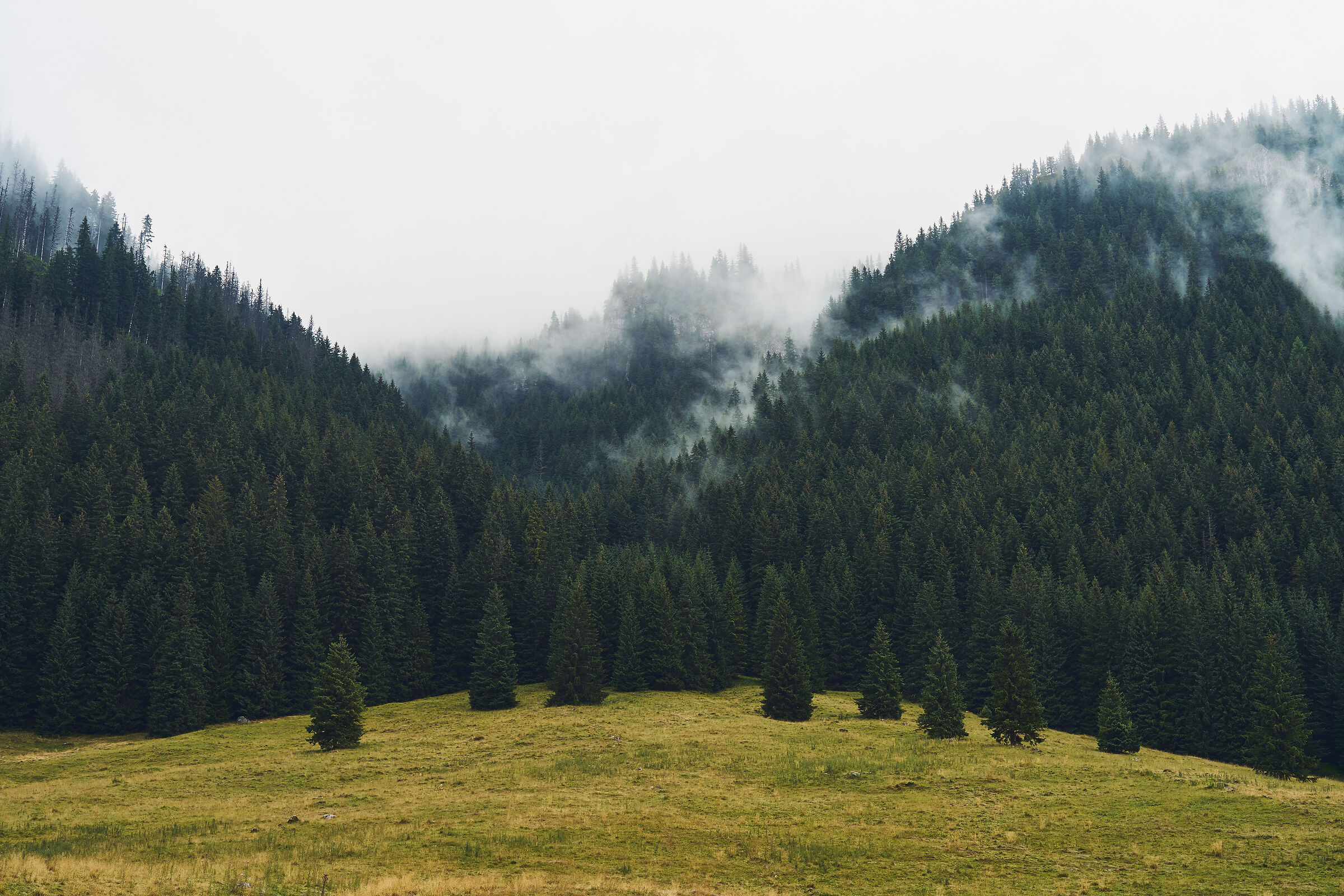 Monti Tatra occidentali #1