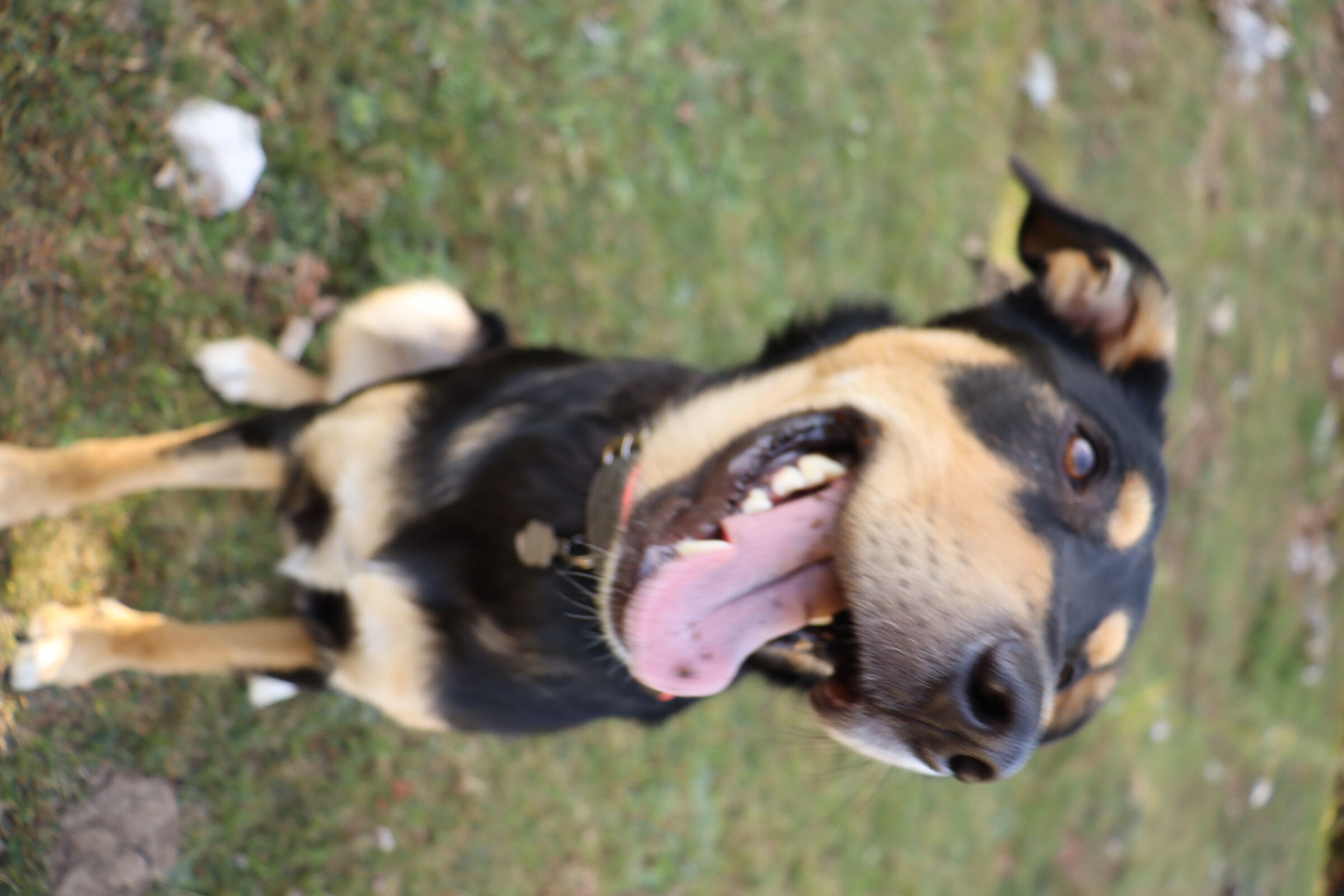 Between nature and fun