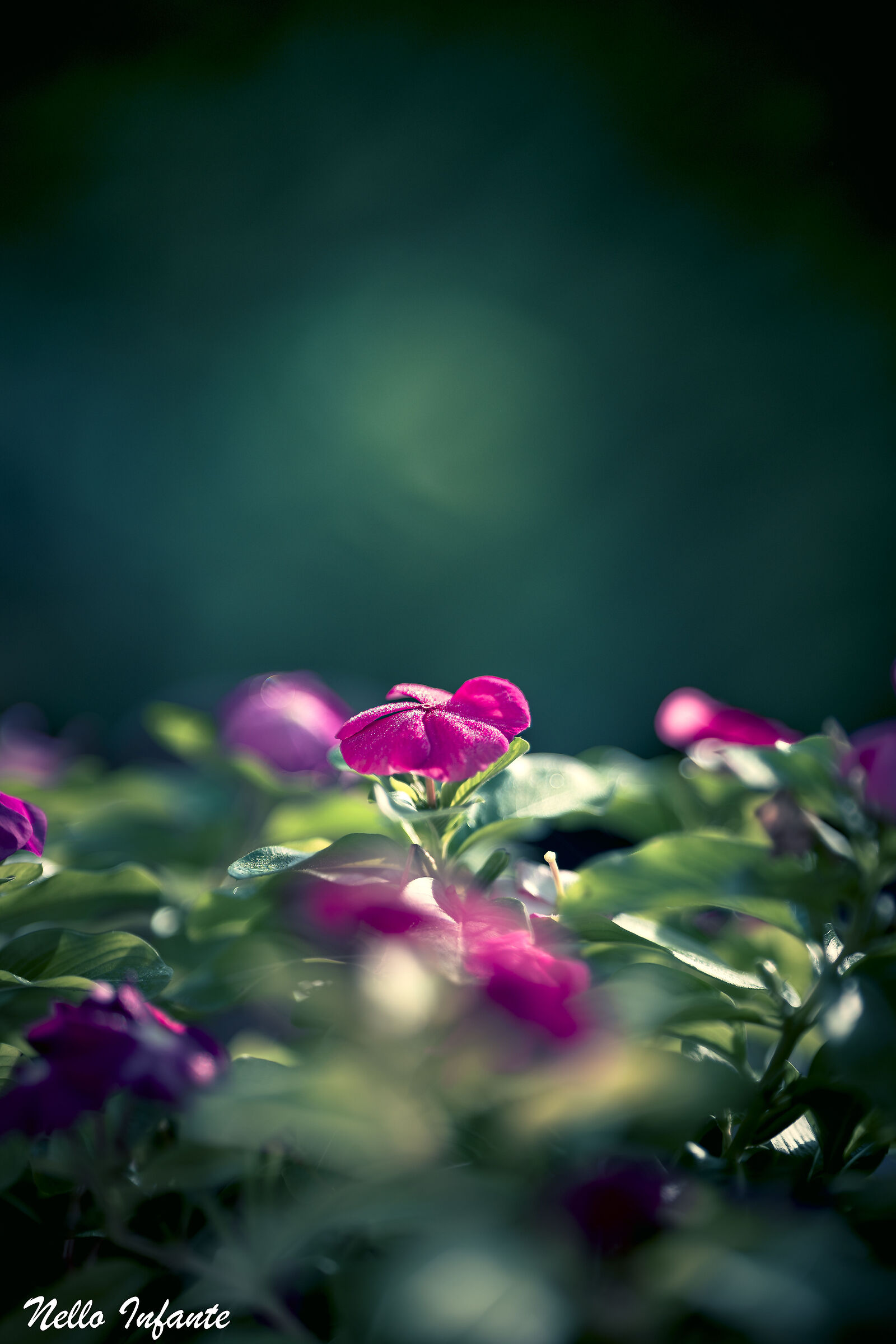 First ray of sunshine