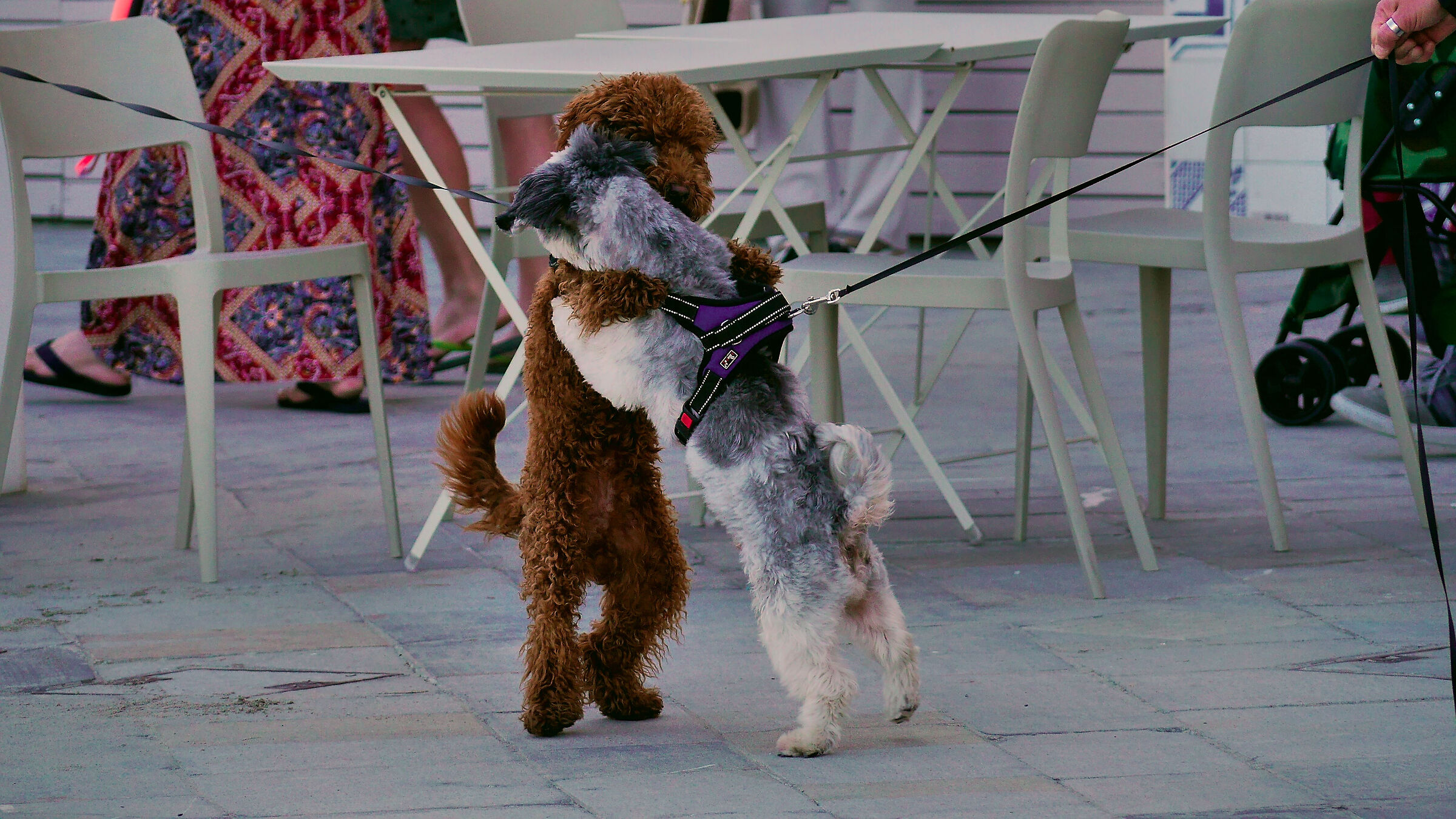 Friends will be friends