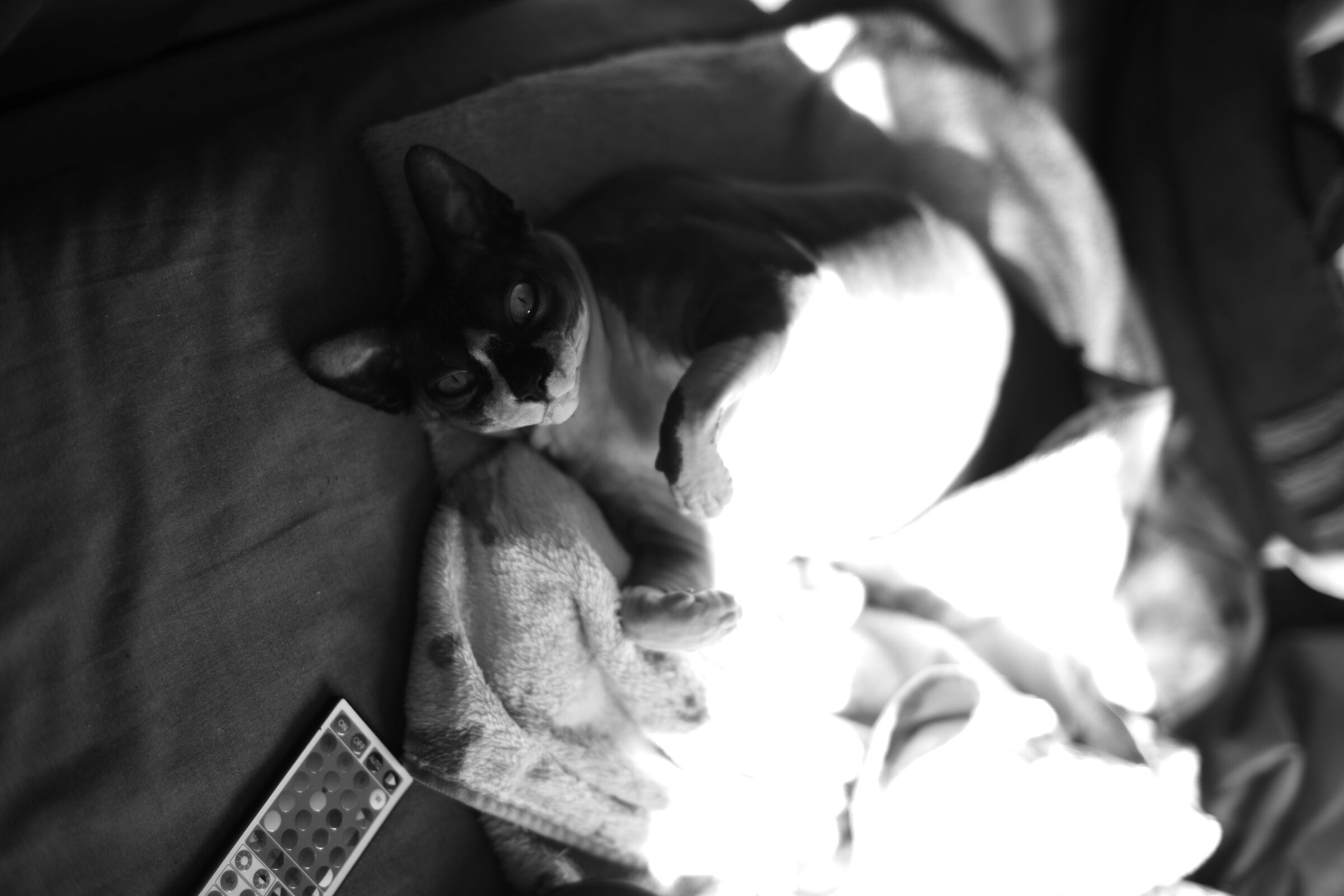 First tests with the monochrome dueequarantasei 2