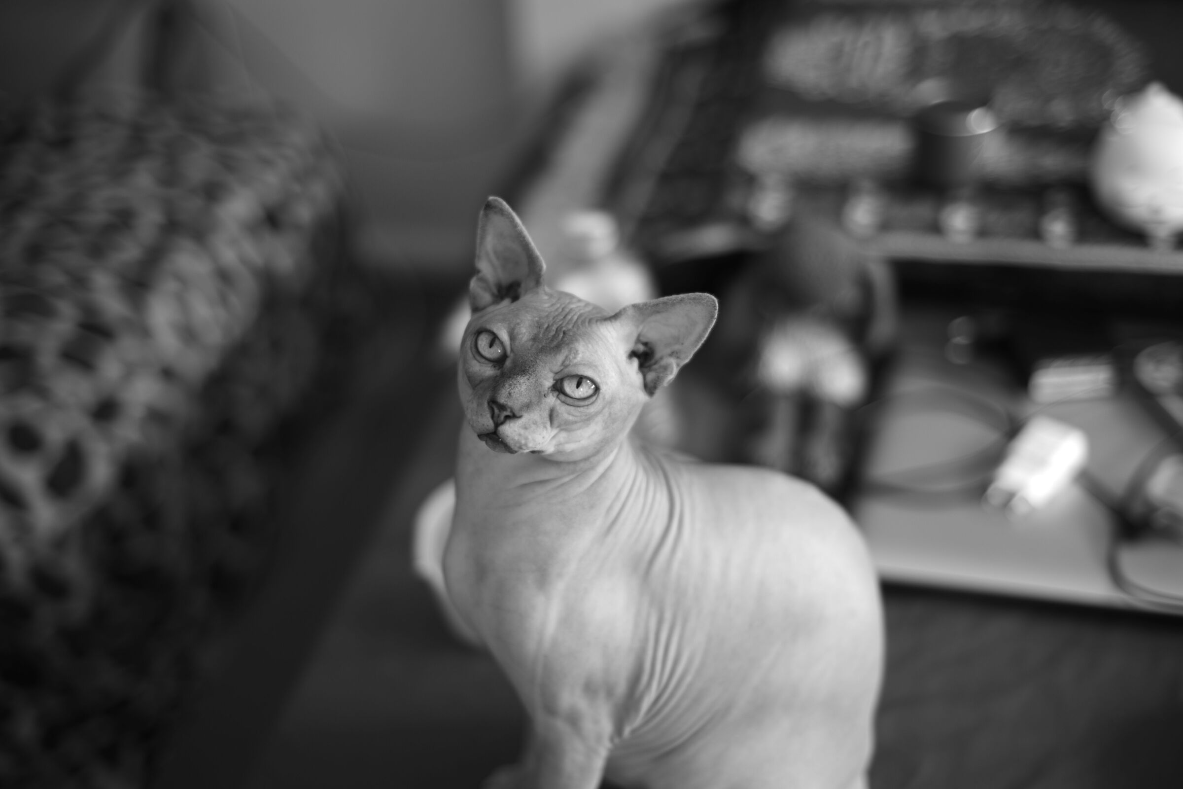 First tests with the monochrome dueequarantasei 3