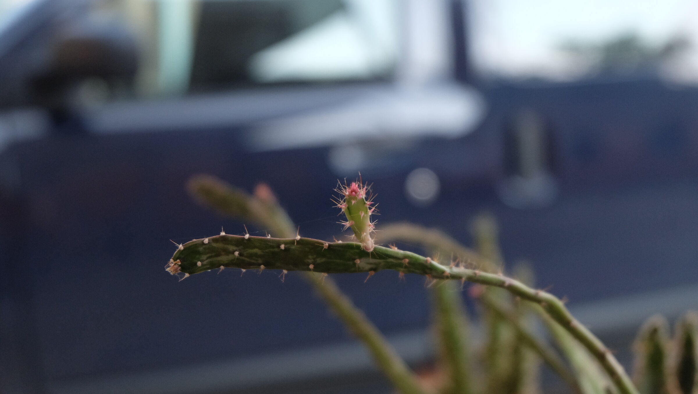 Nei posti più impensabili
