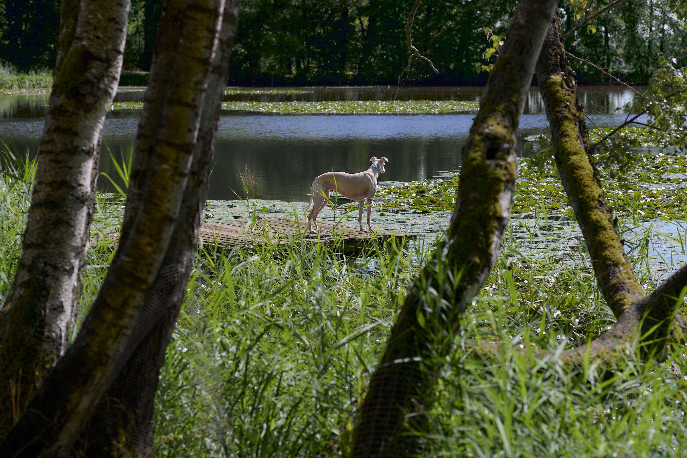 Nunu follows her curiosity.