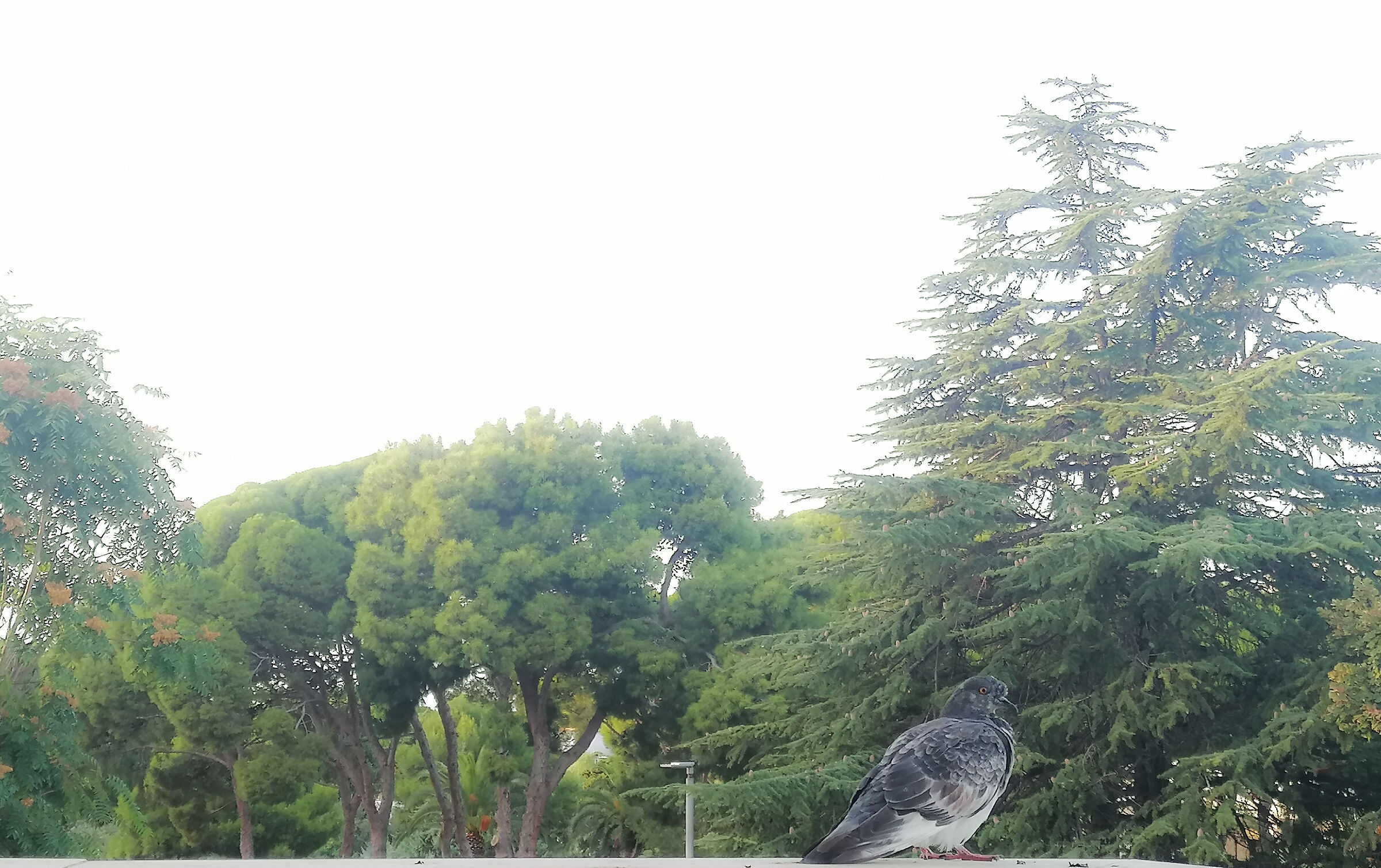 Relax in town