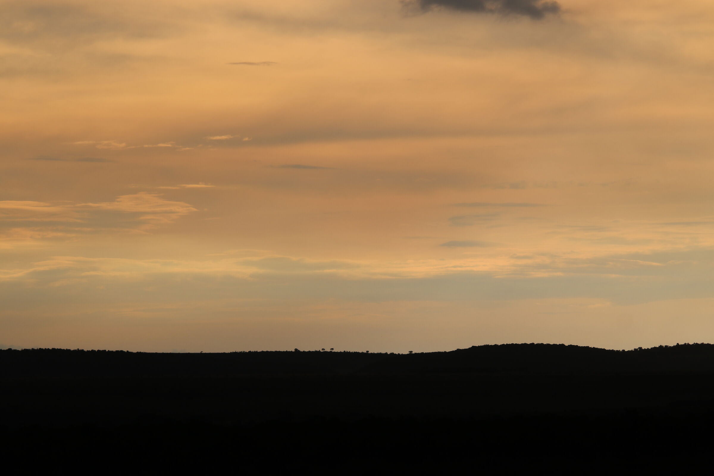 Masai Mara - The savannah falls asleep