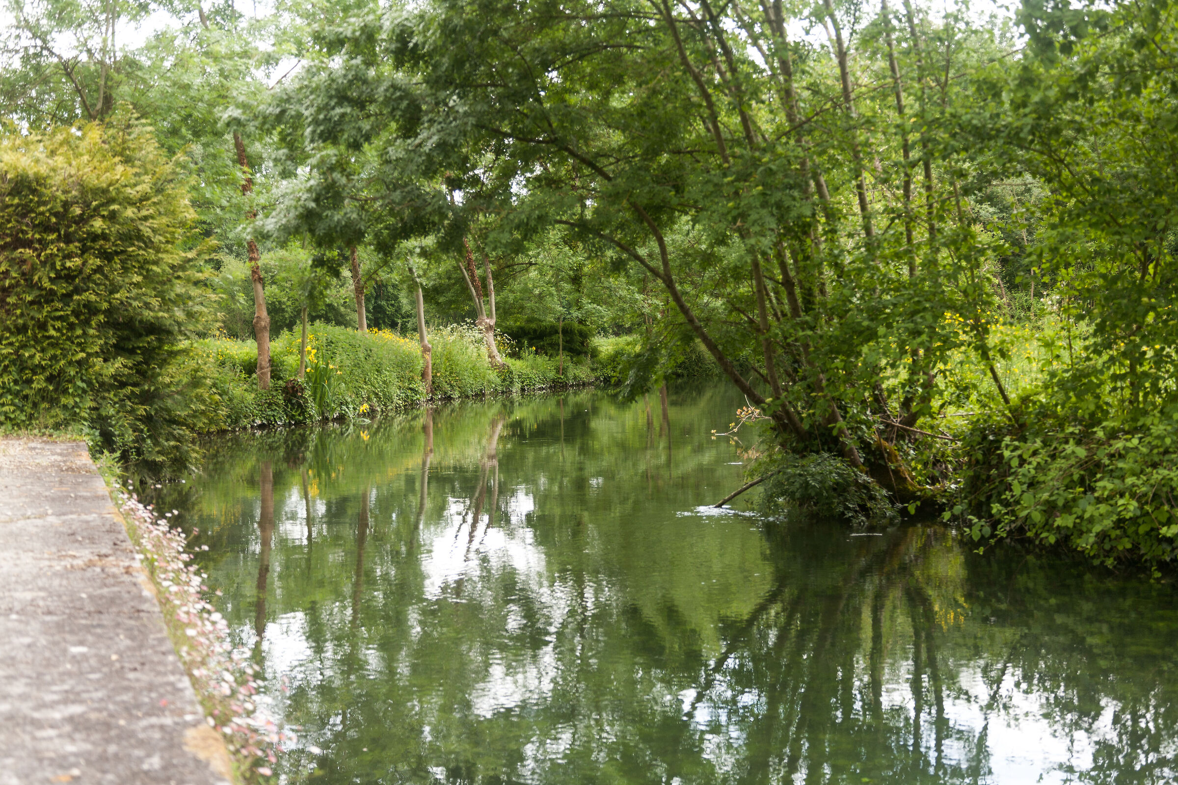 green2