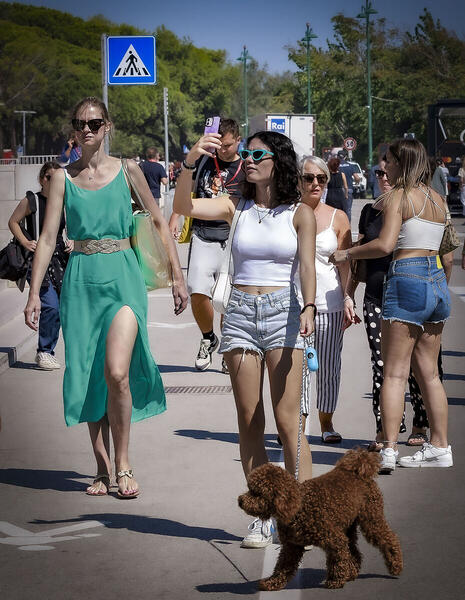 Foto