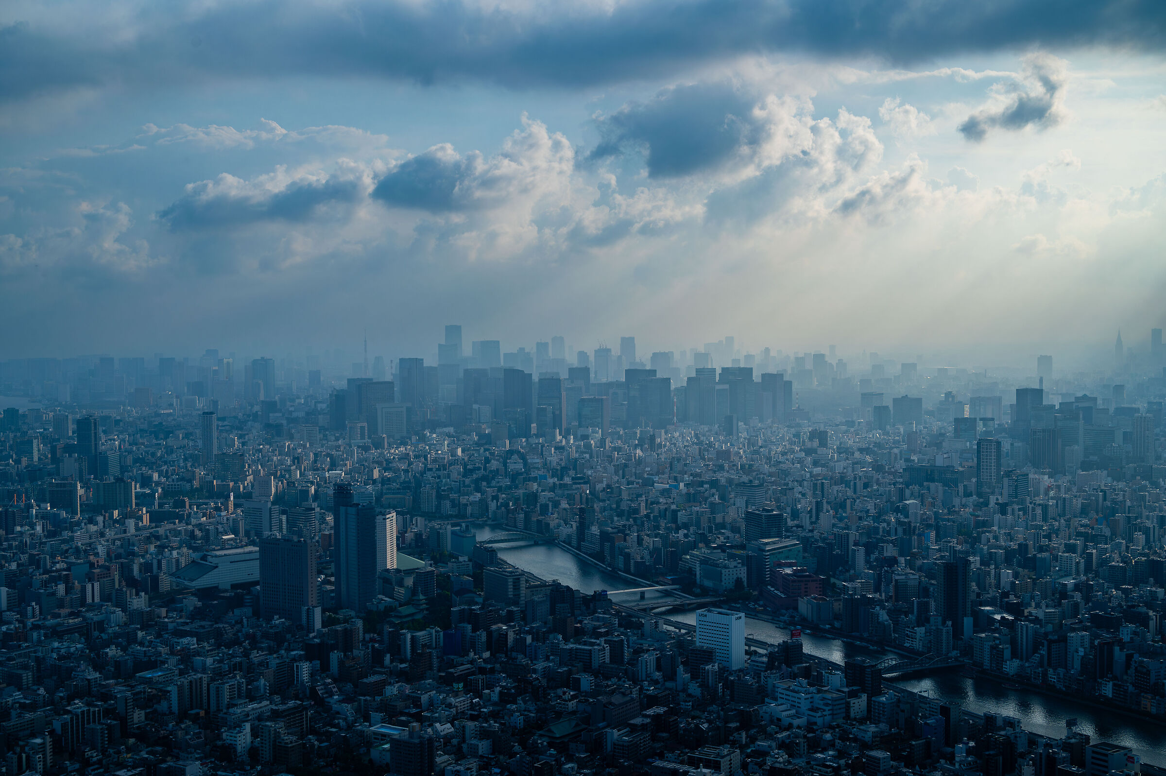 Tokyo day Skyline