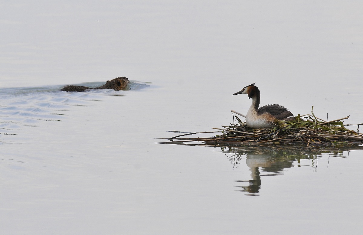 meetings ... in the lagoon!