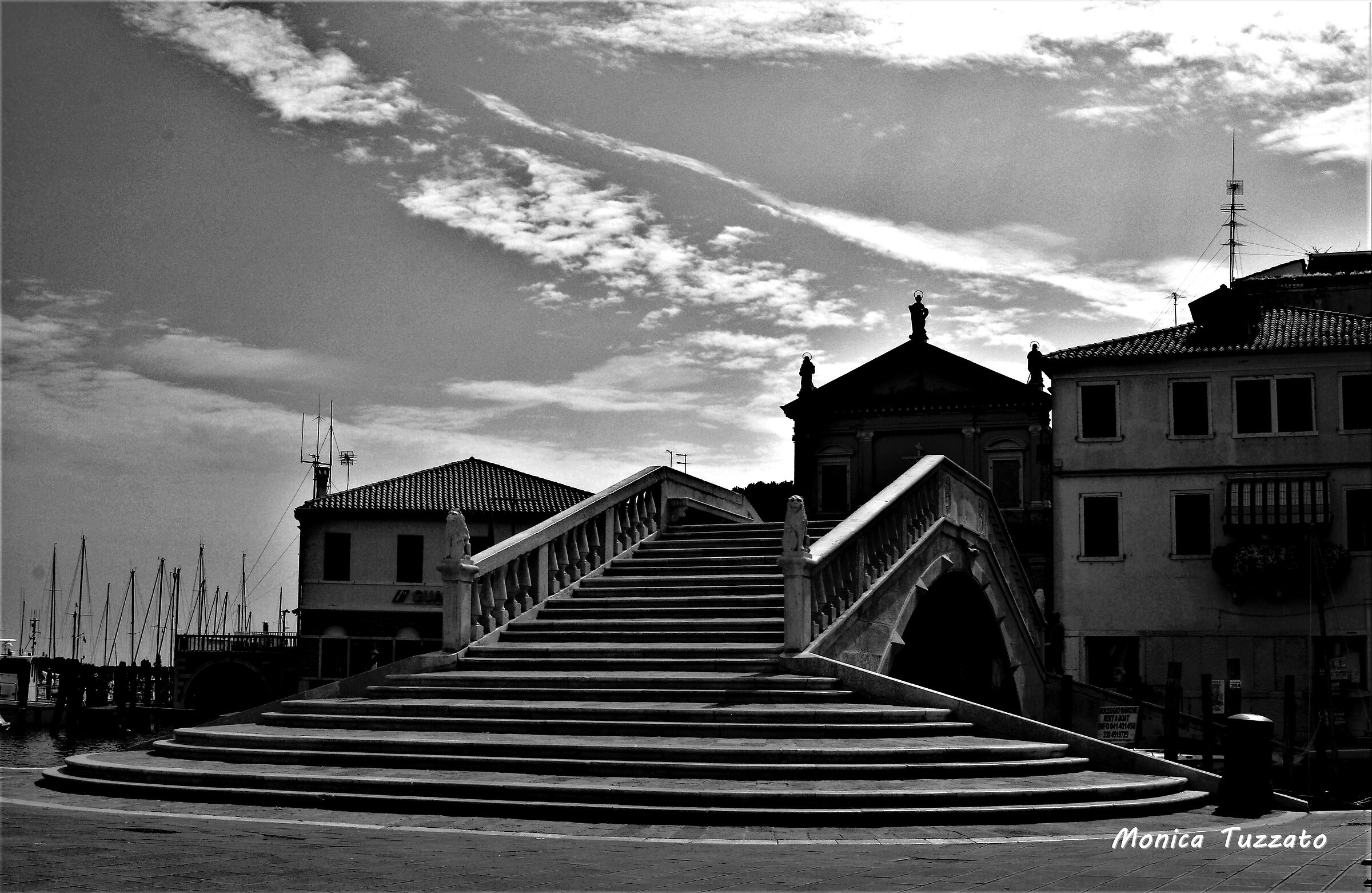 Chioggia in bianco e