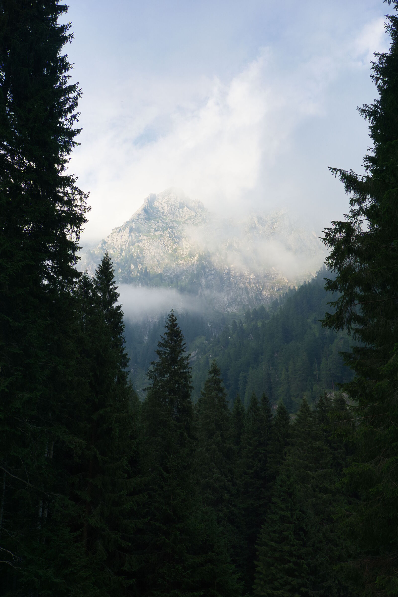 Cima Campagnasa - Cima d'Asta Group
