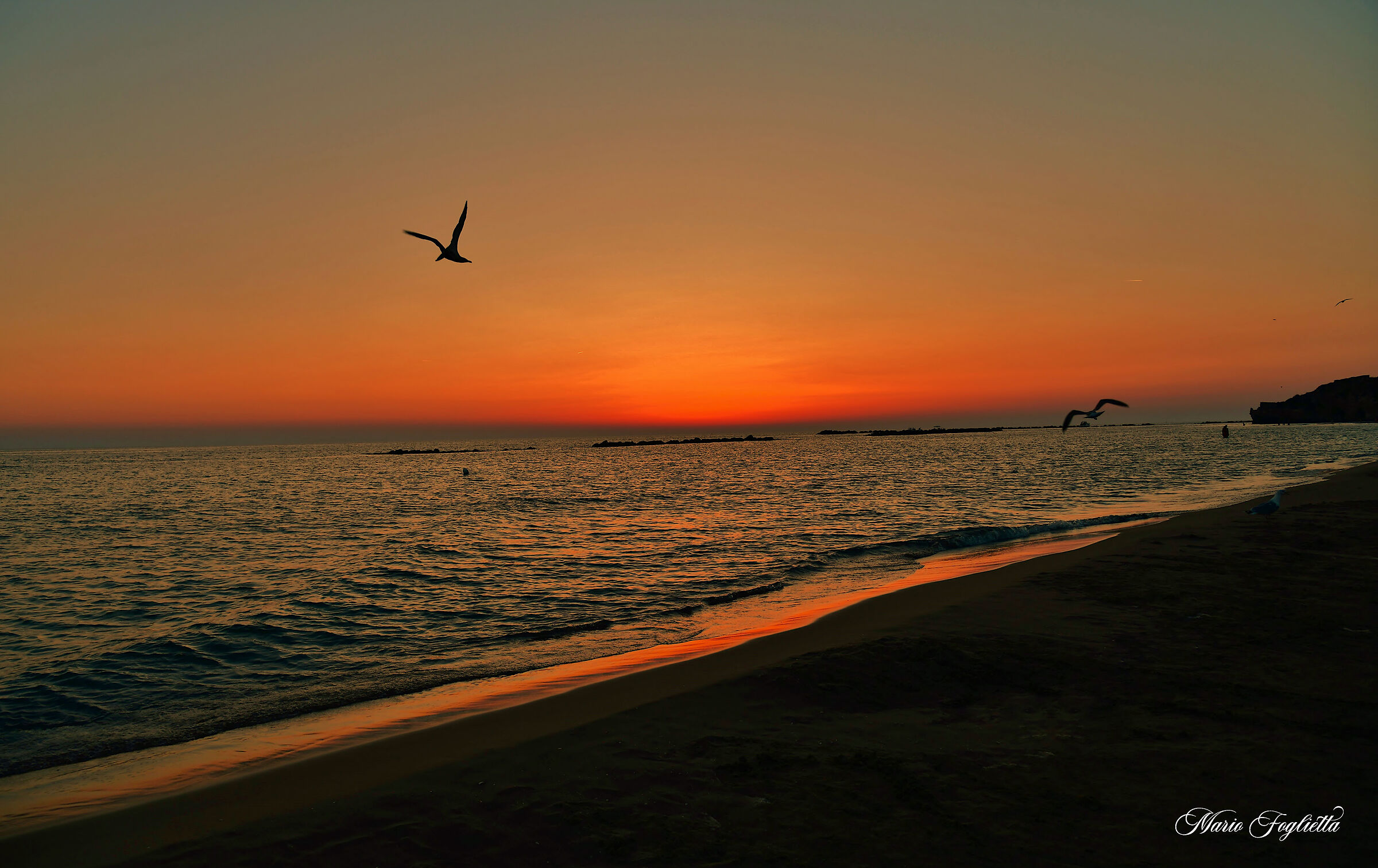 Volando verso la luce