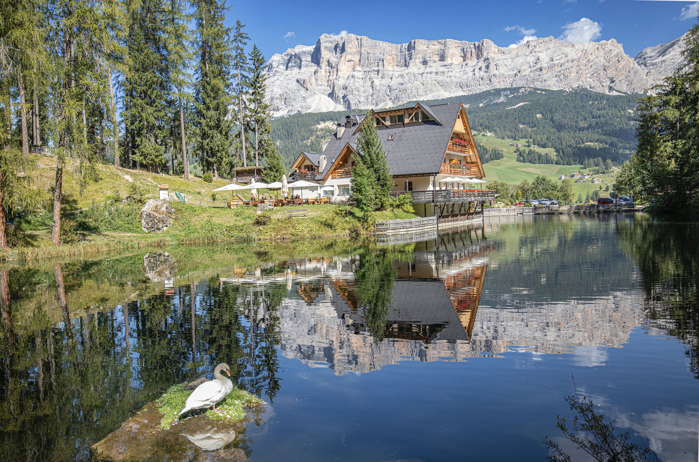 Reflected Dolomites