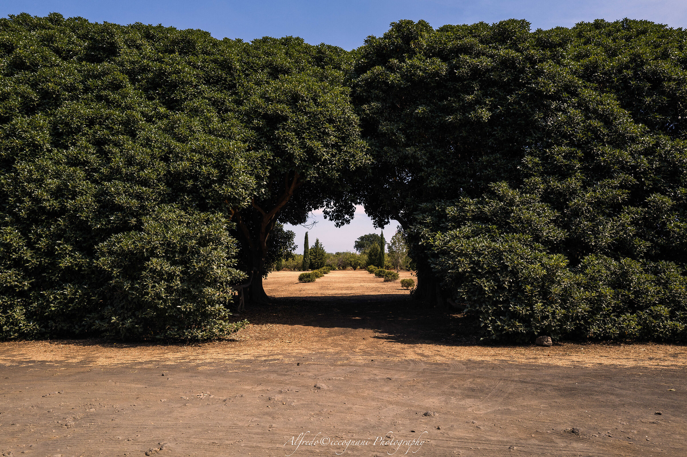 Access to the park of the villa