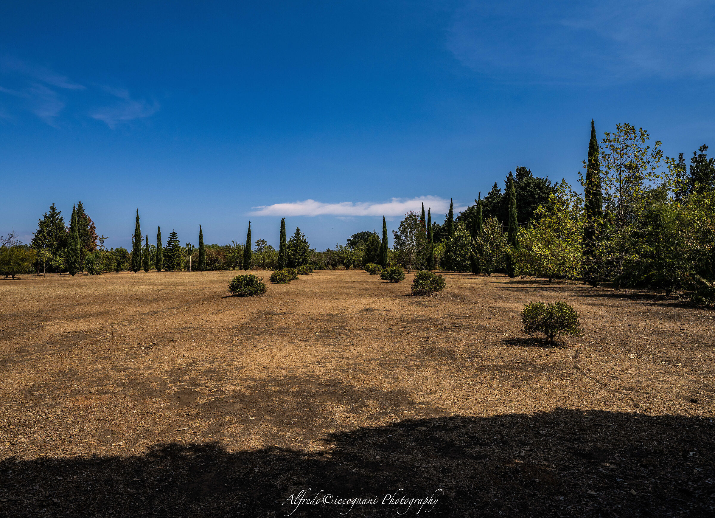The immense park of the Villa