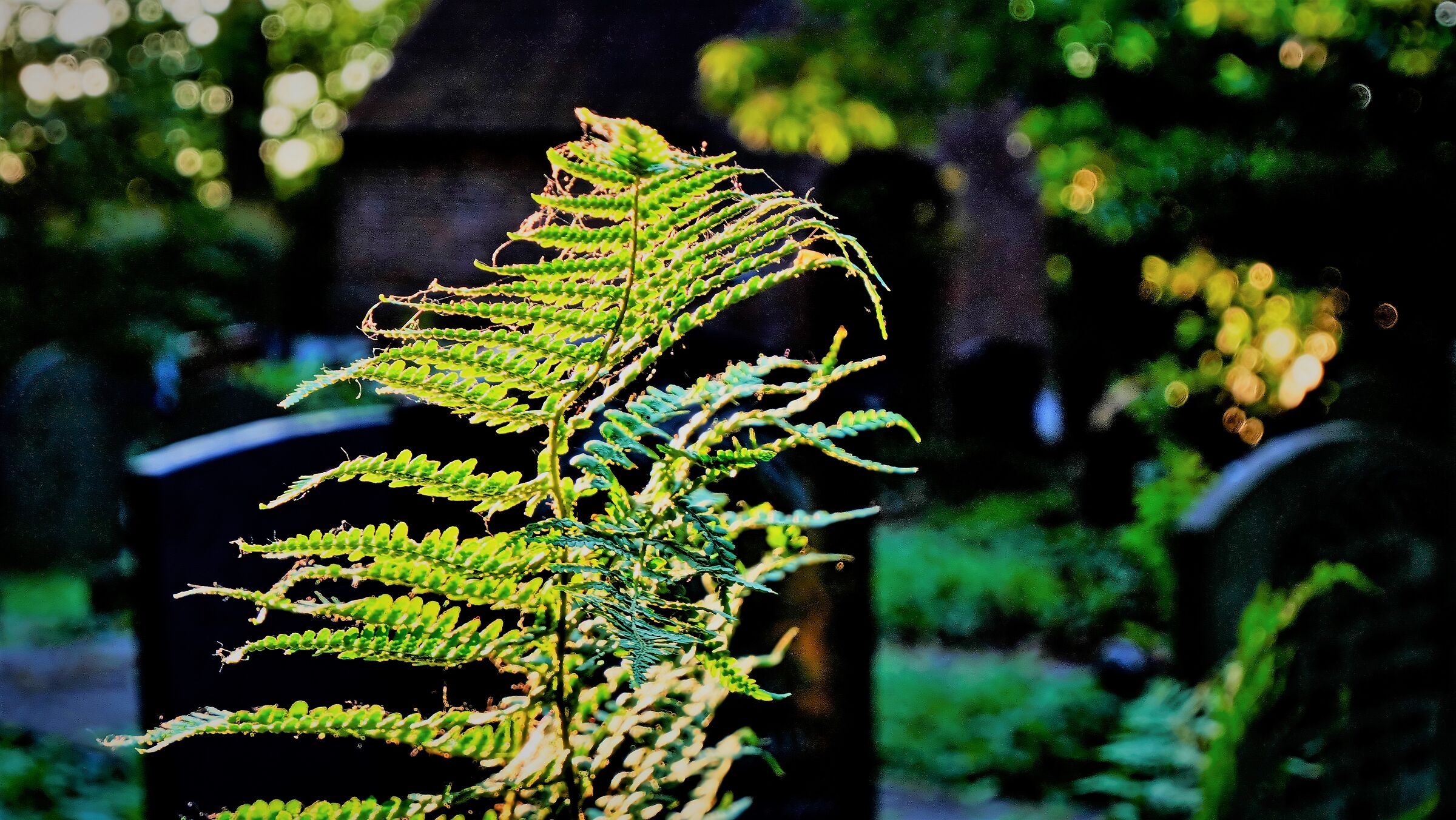 Ghostspotting nel vecchio cimitero