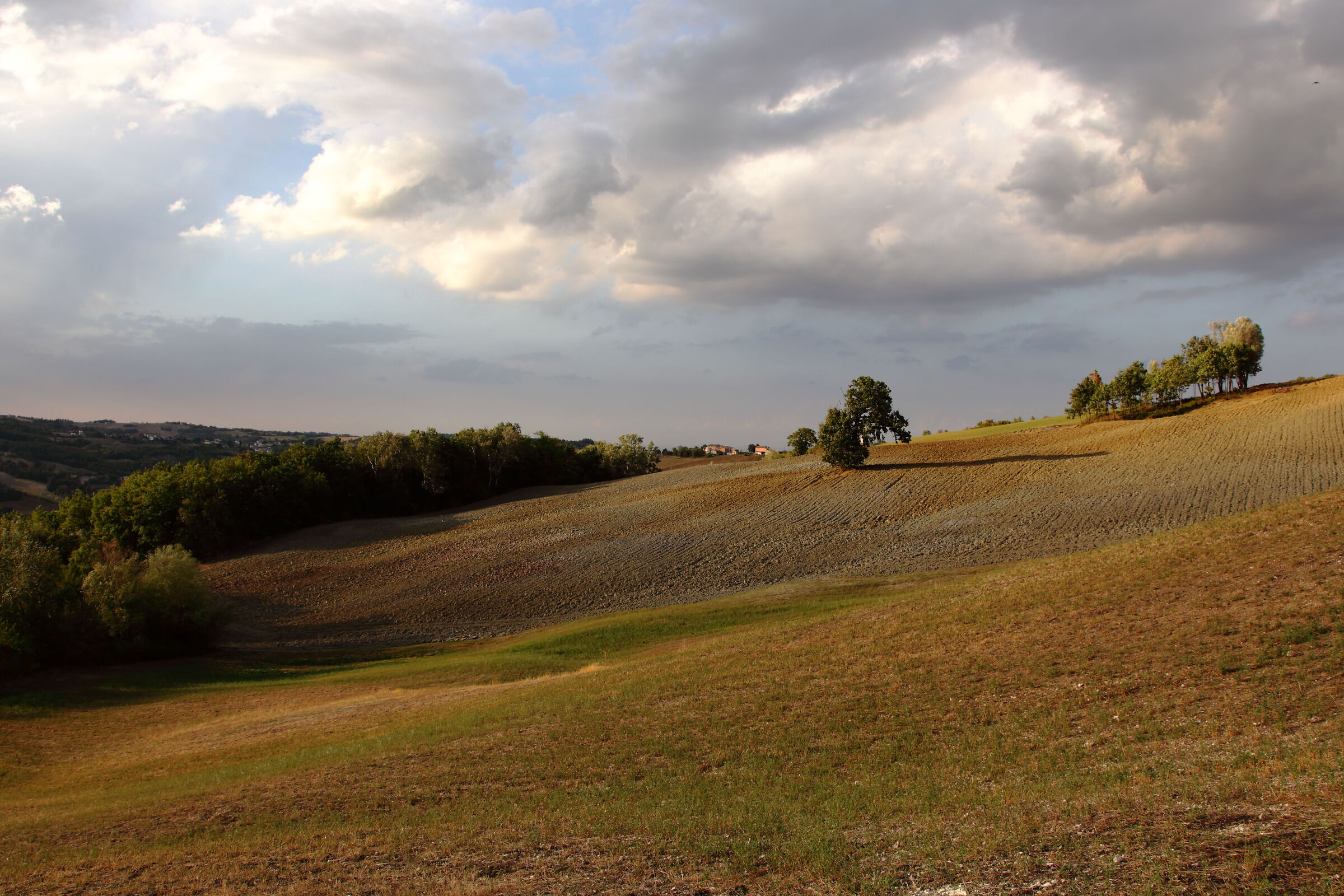 Tarda estate, primo autunno