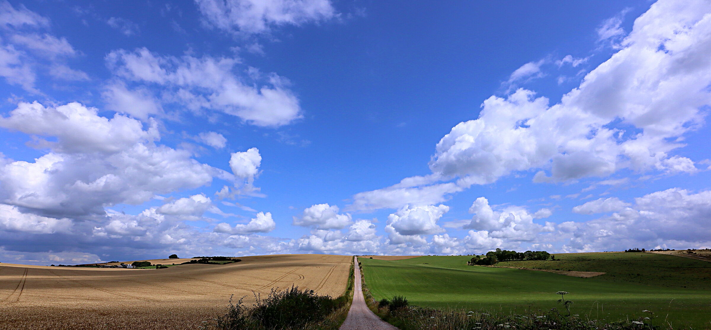 Pianura di Salisbury