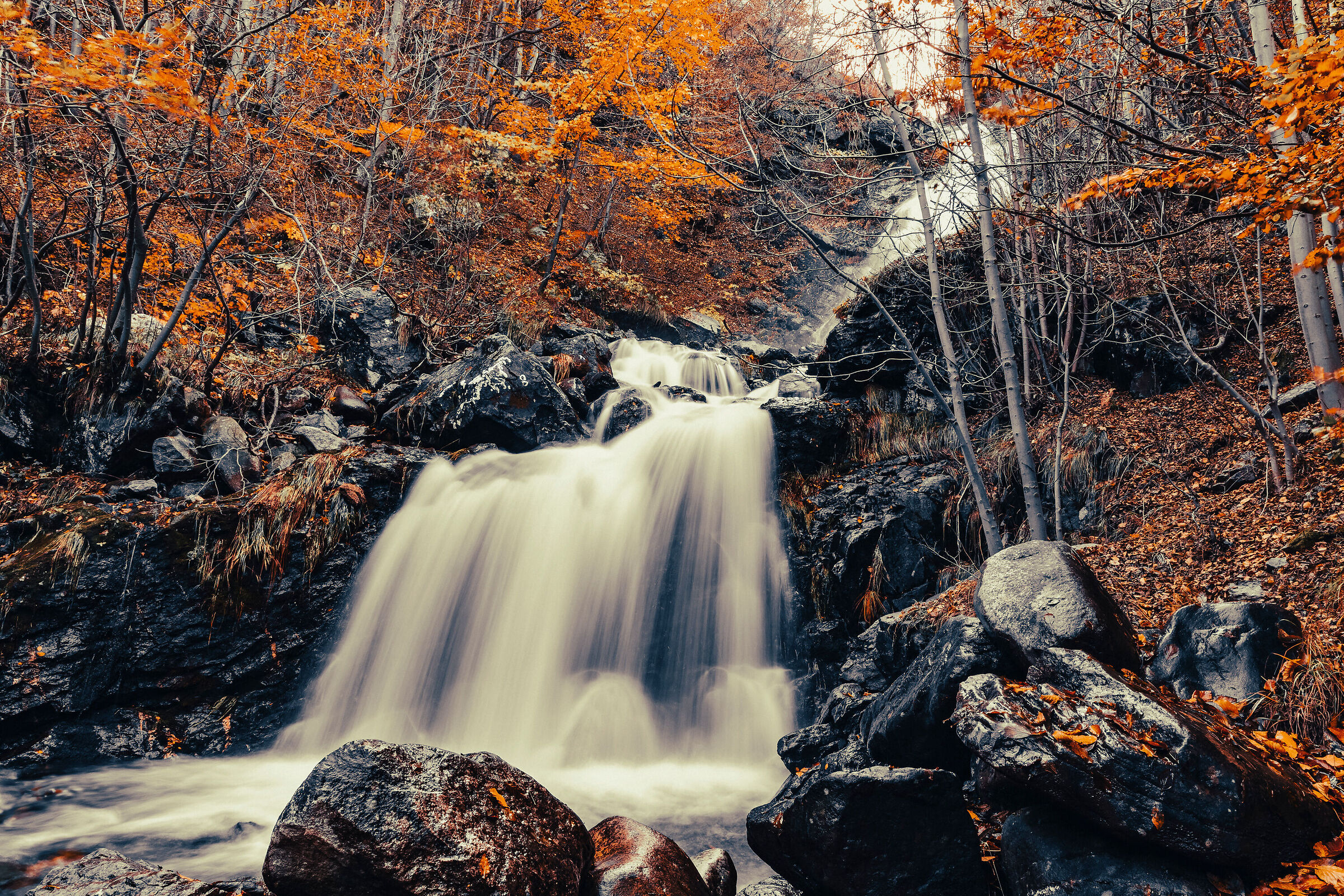 Autunno sulle Alpi Marittime