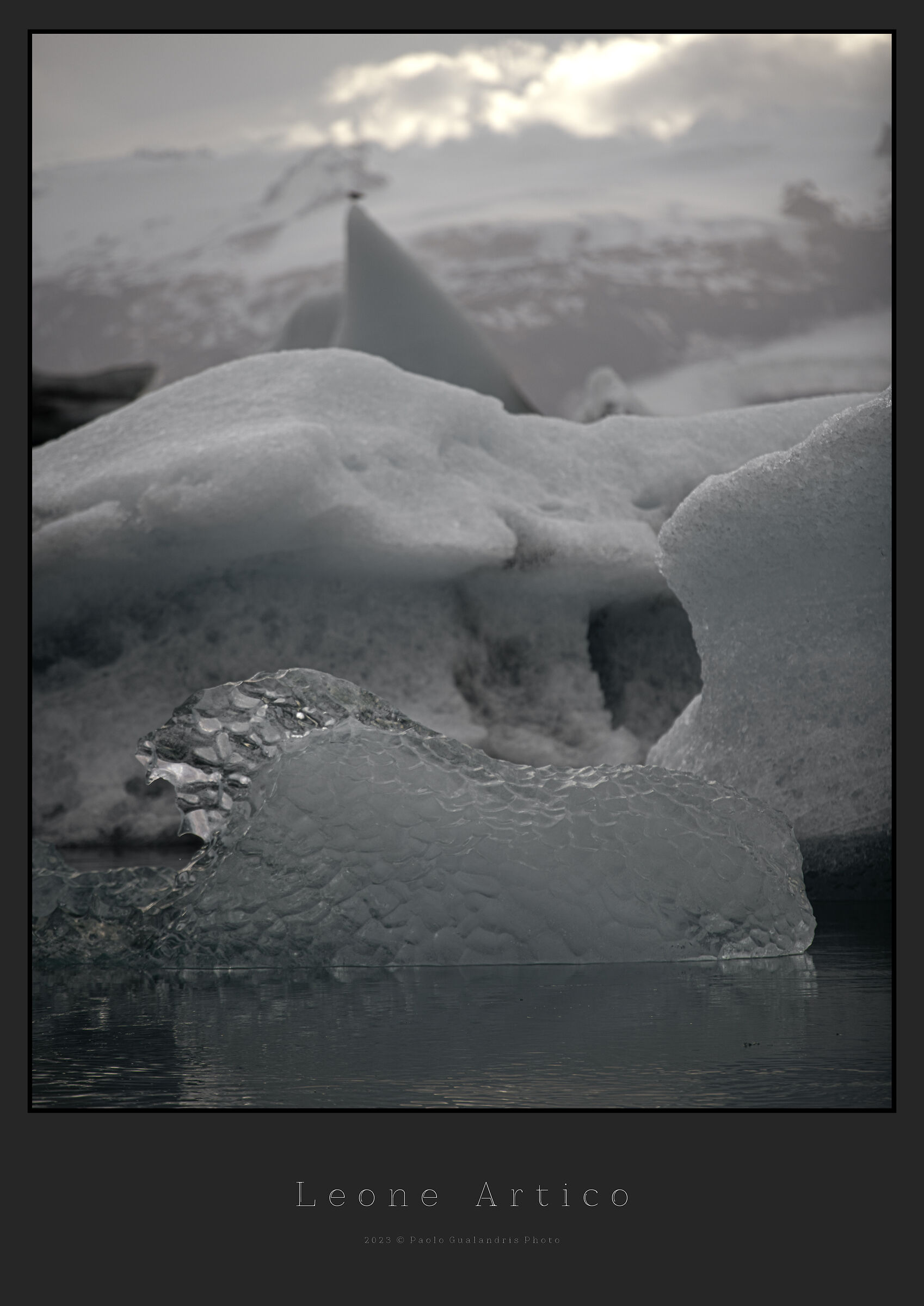 Arctic Lion