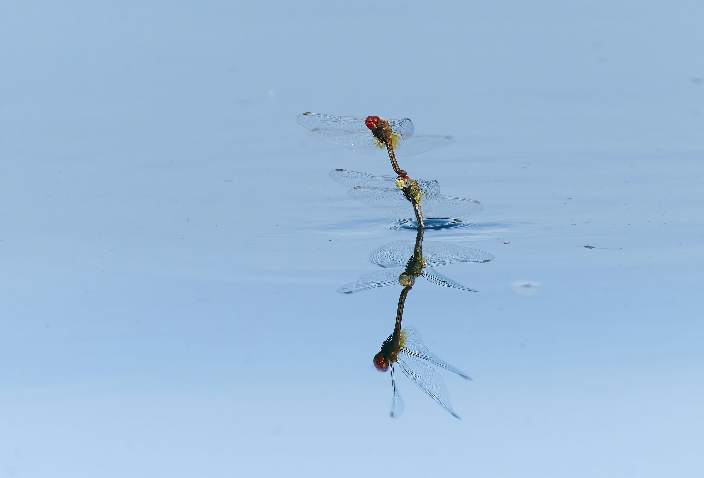 Strano modo di fare l'amore