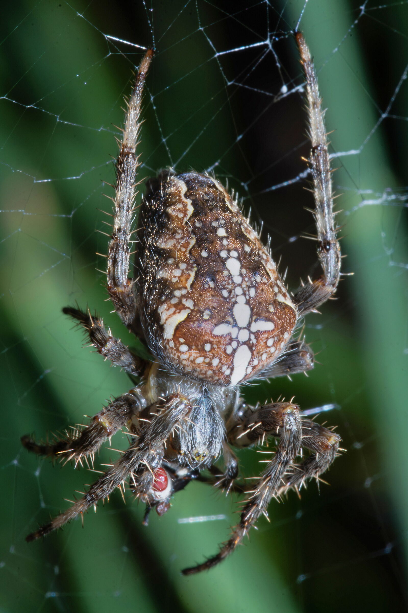 Don't touch my lunch!