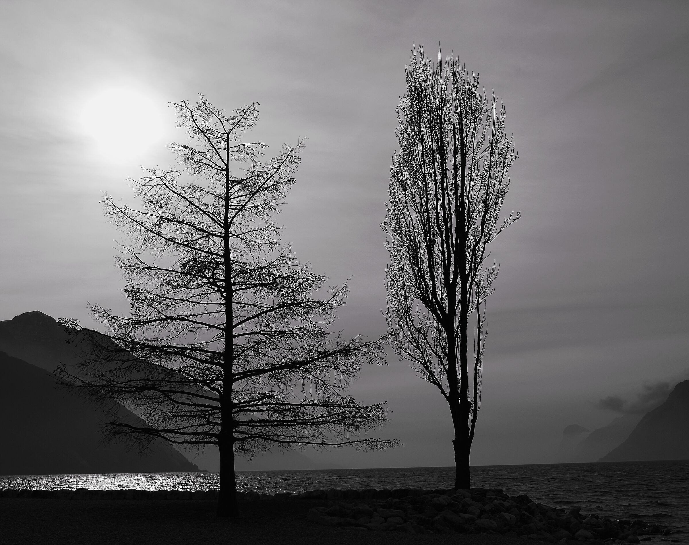 Two tricky trees