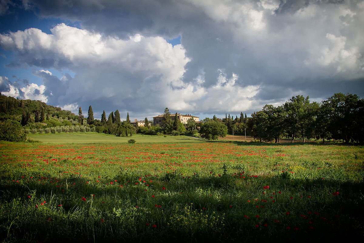 Poggio Pinci Serre di Rapolano Siena