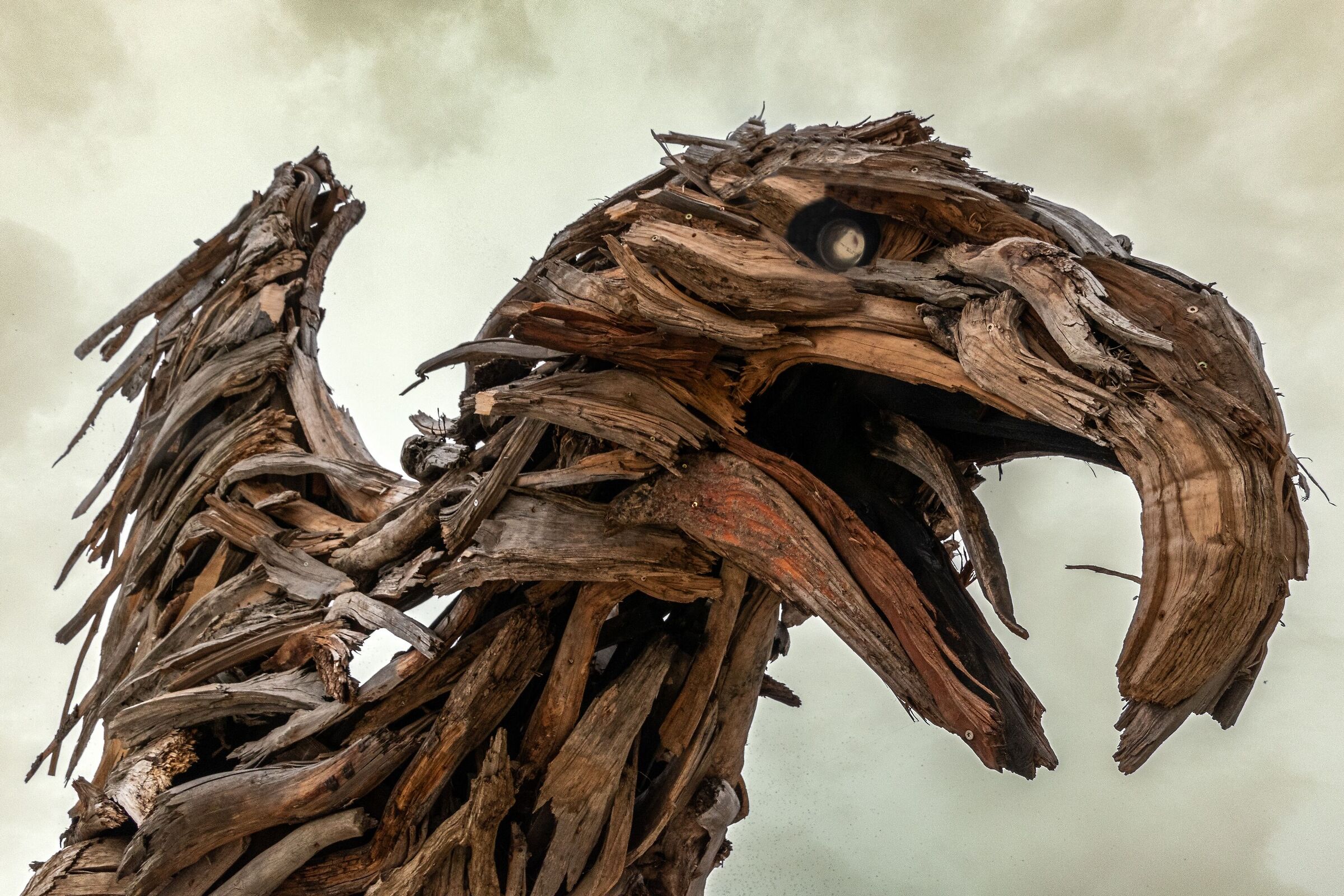 2 L'acquila di Marco Martalar a Marcesina