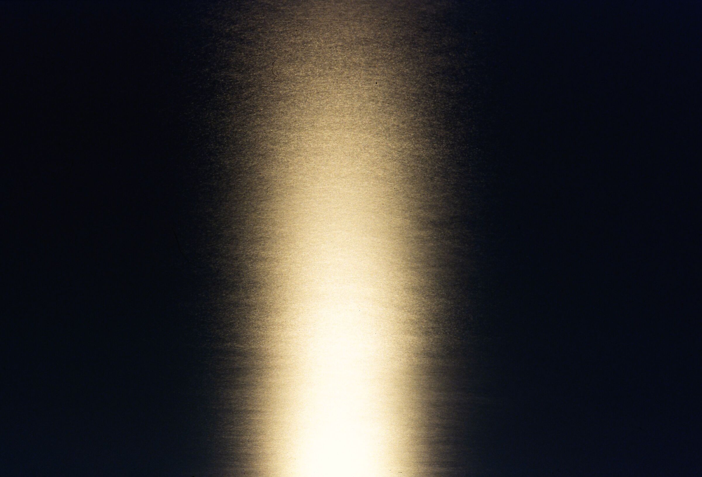 on the sea glitters