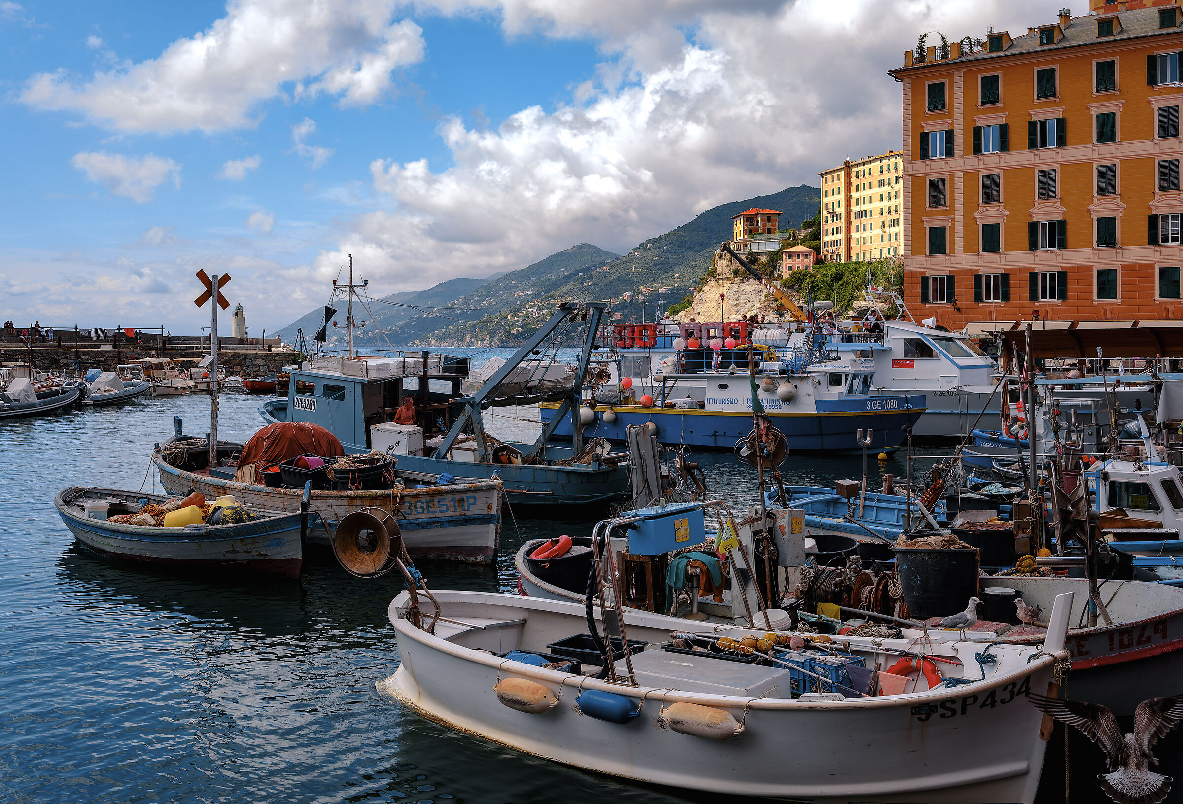The colors of Camogli