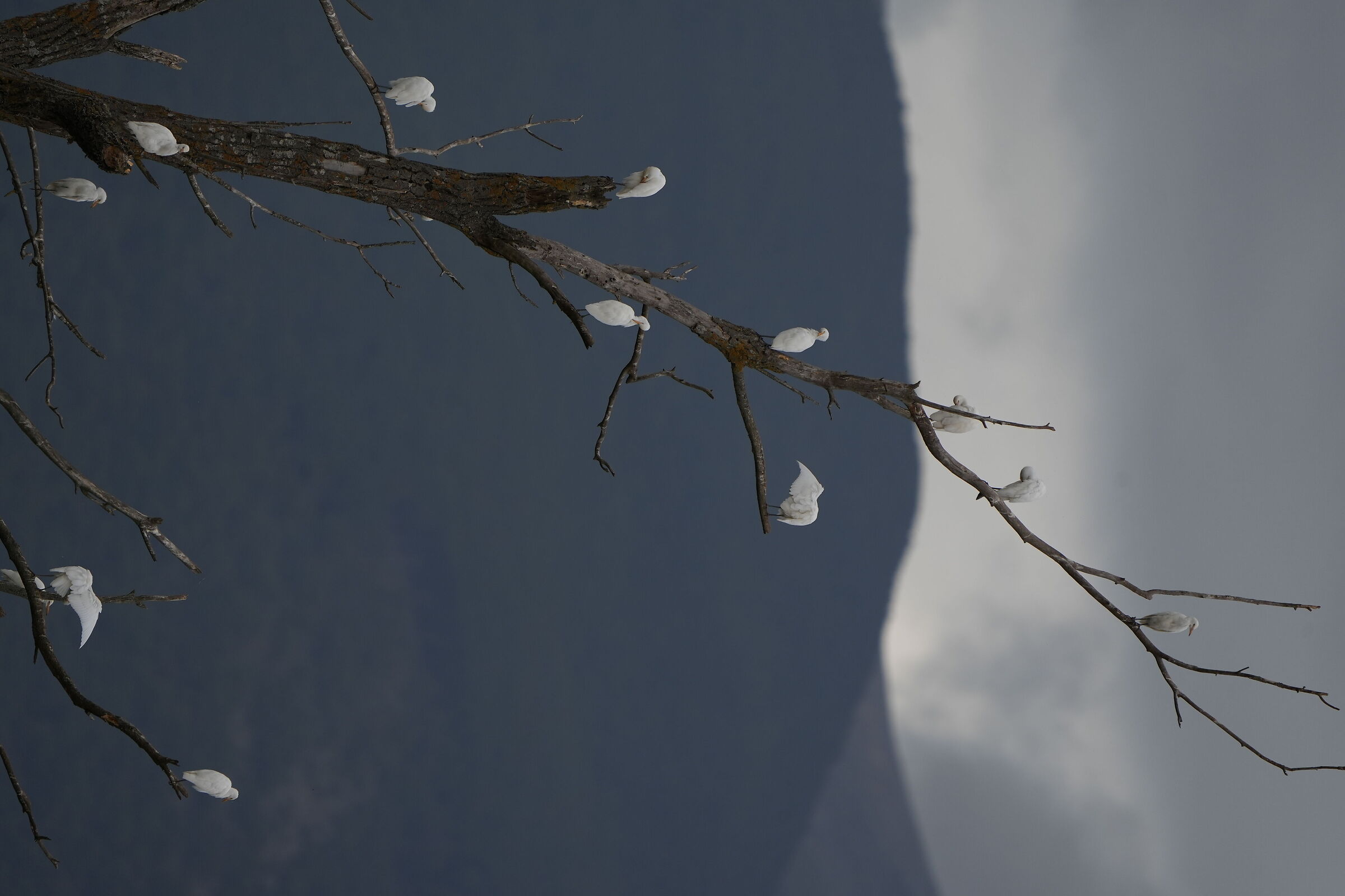 ToiletingIn Condominium