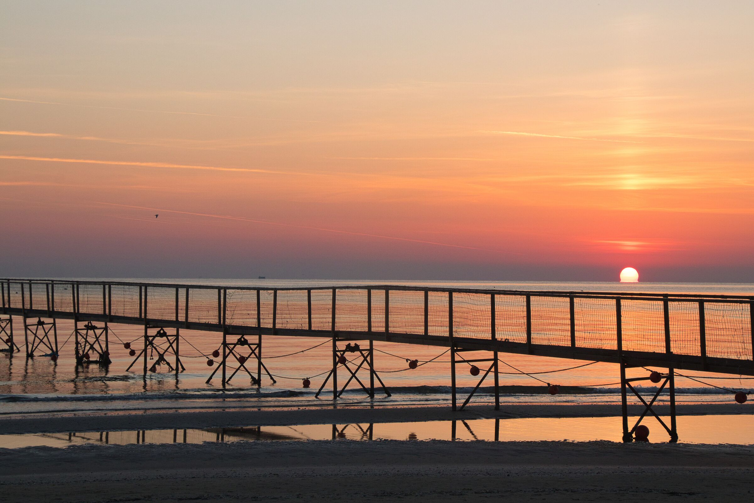 Rimini 1