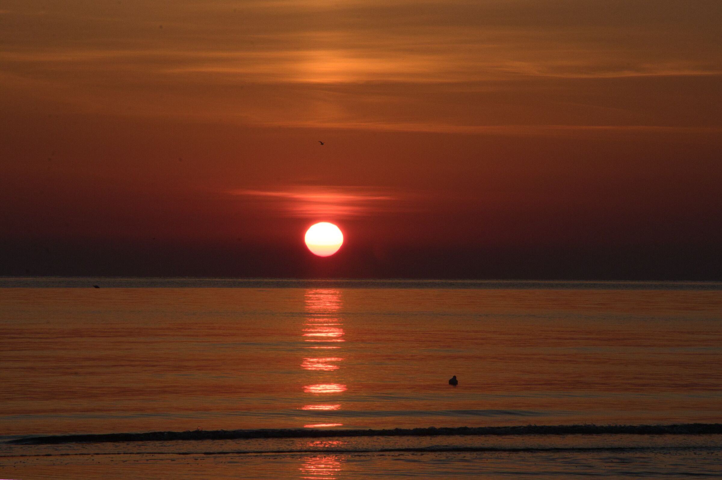 Rimini 2