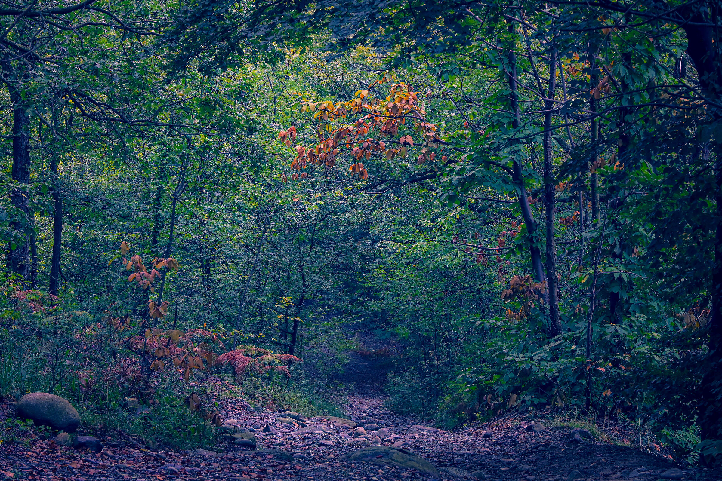 Autumn is coming