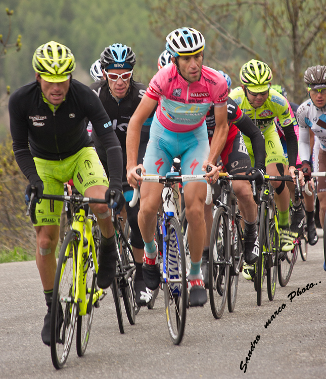 Gruppa pink jersey from the 2013 Tour of Italy stage nr 14