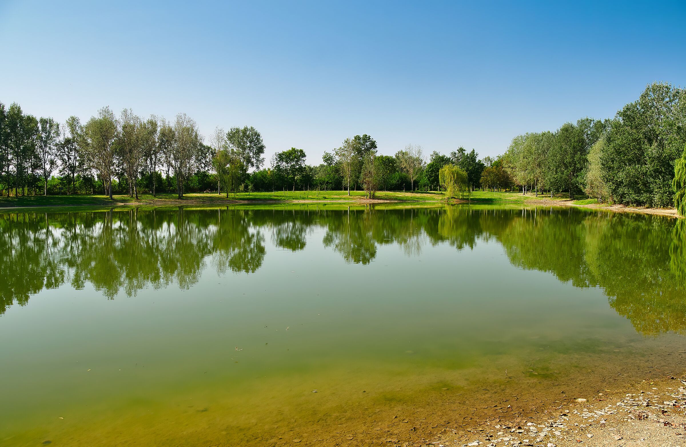 parco Unione Europea(Mappano)Torino