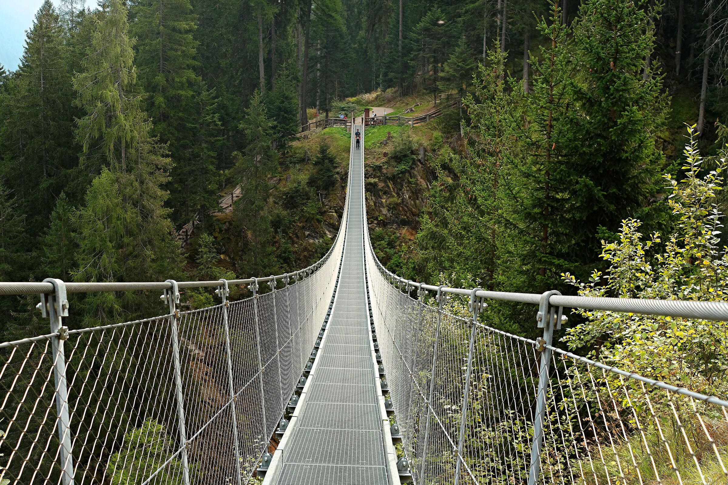 Il ponte tibetano - Rabbi (tn) Parco Nazionale Stelvio