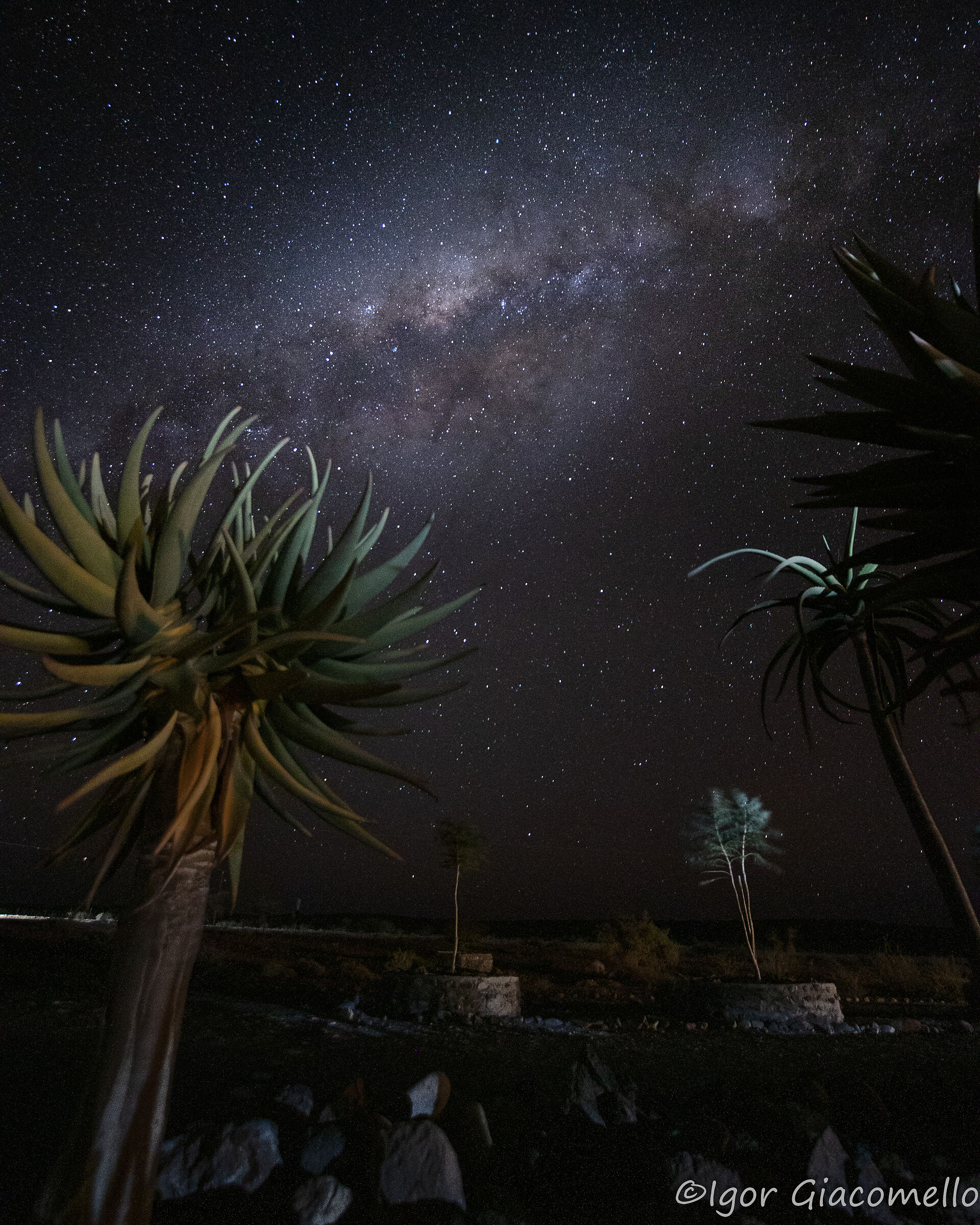 Namibian nights
