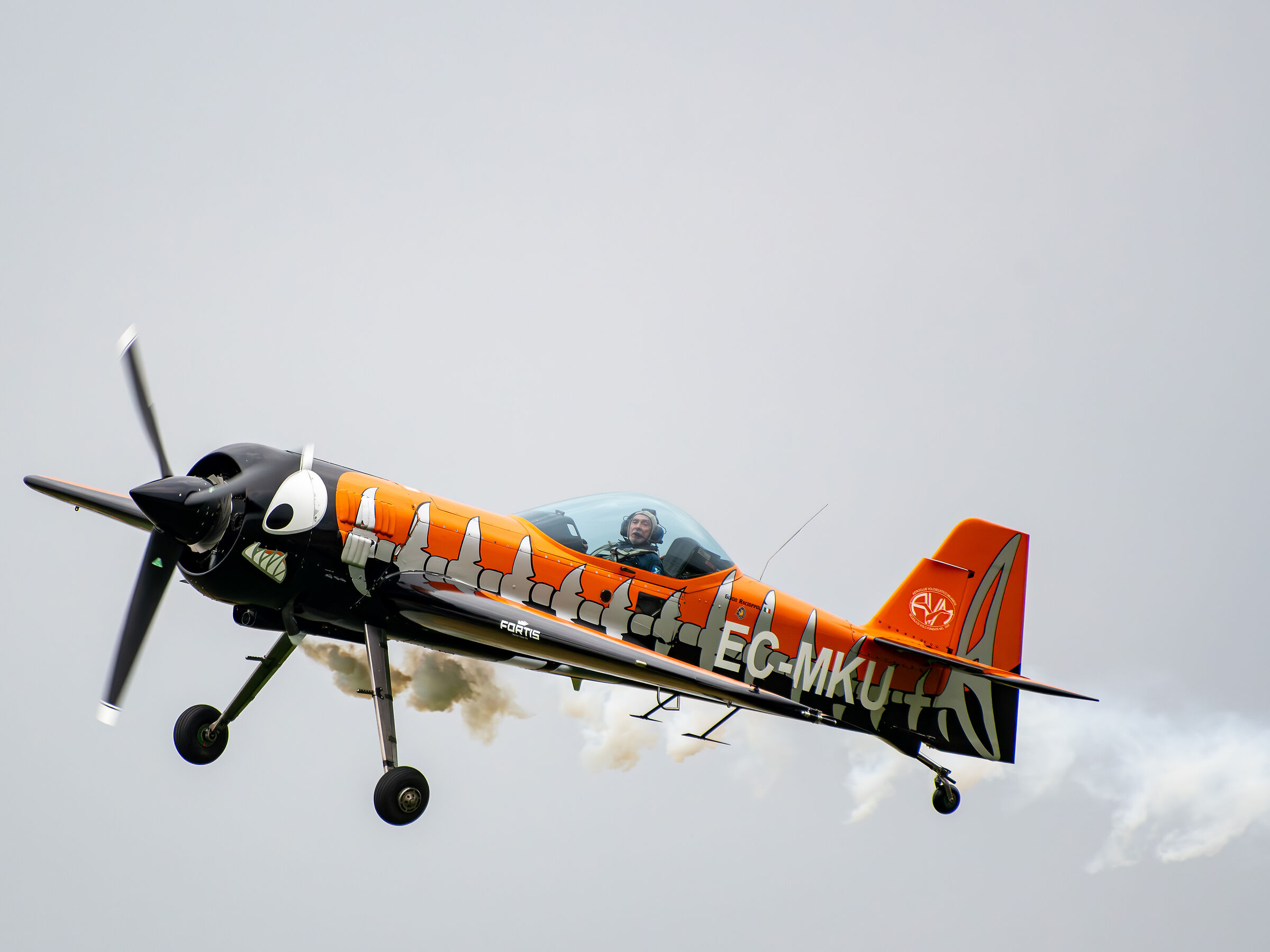 Airshow Vercelli 2023