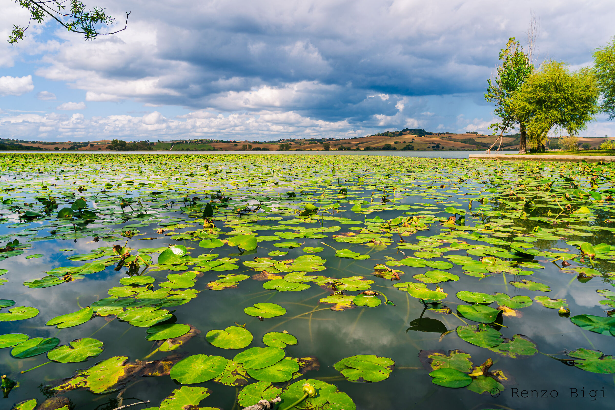 Lago di Chiusi