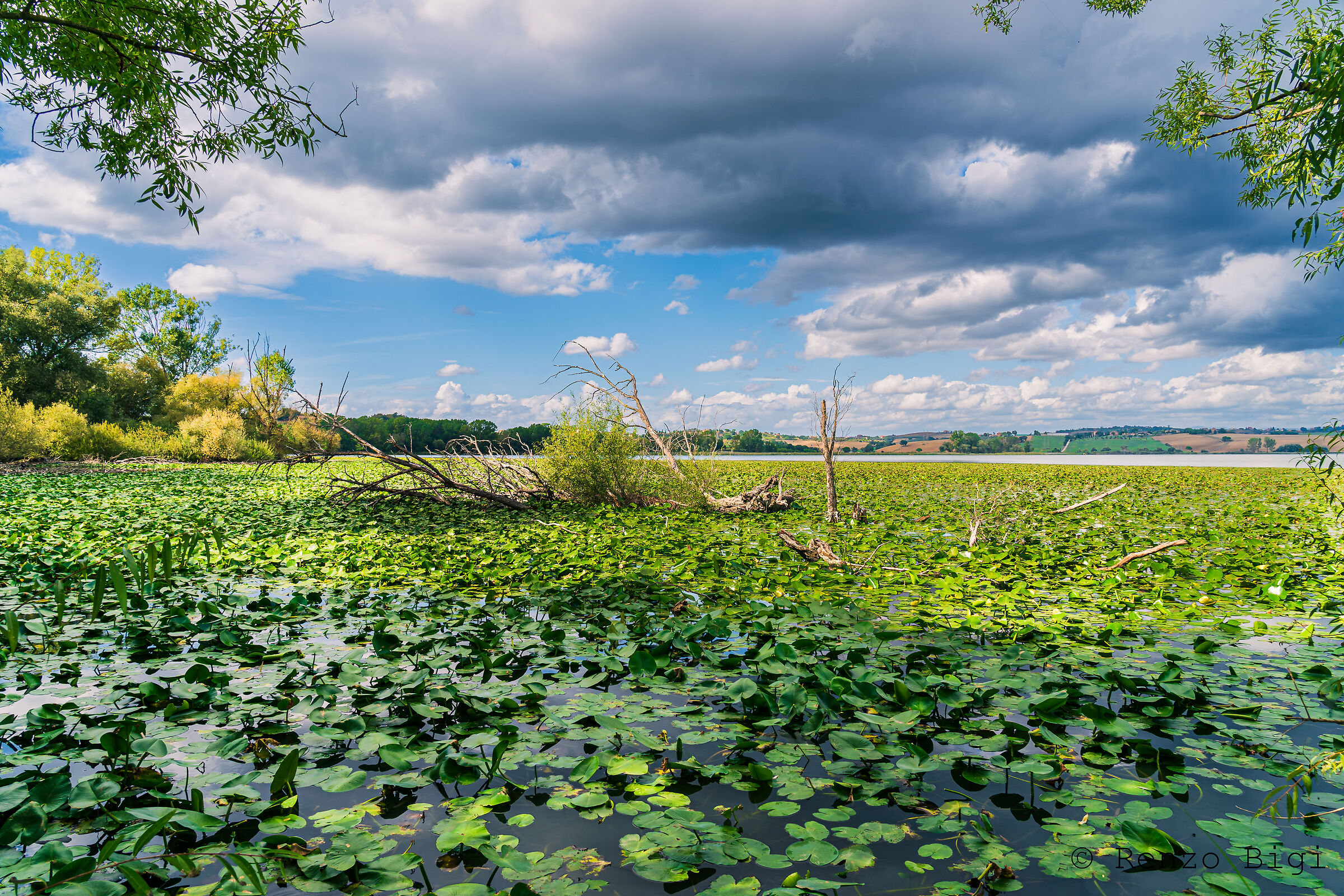 Lago di Chiusi