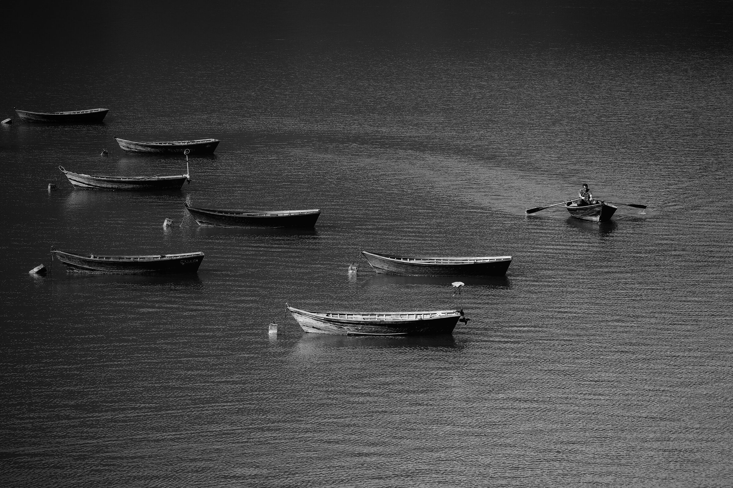 ... Loner...