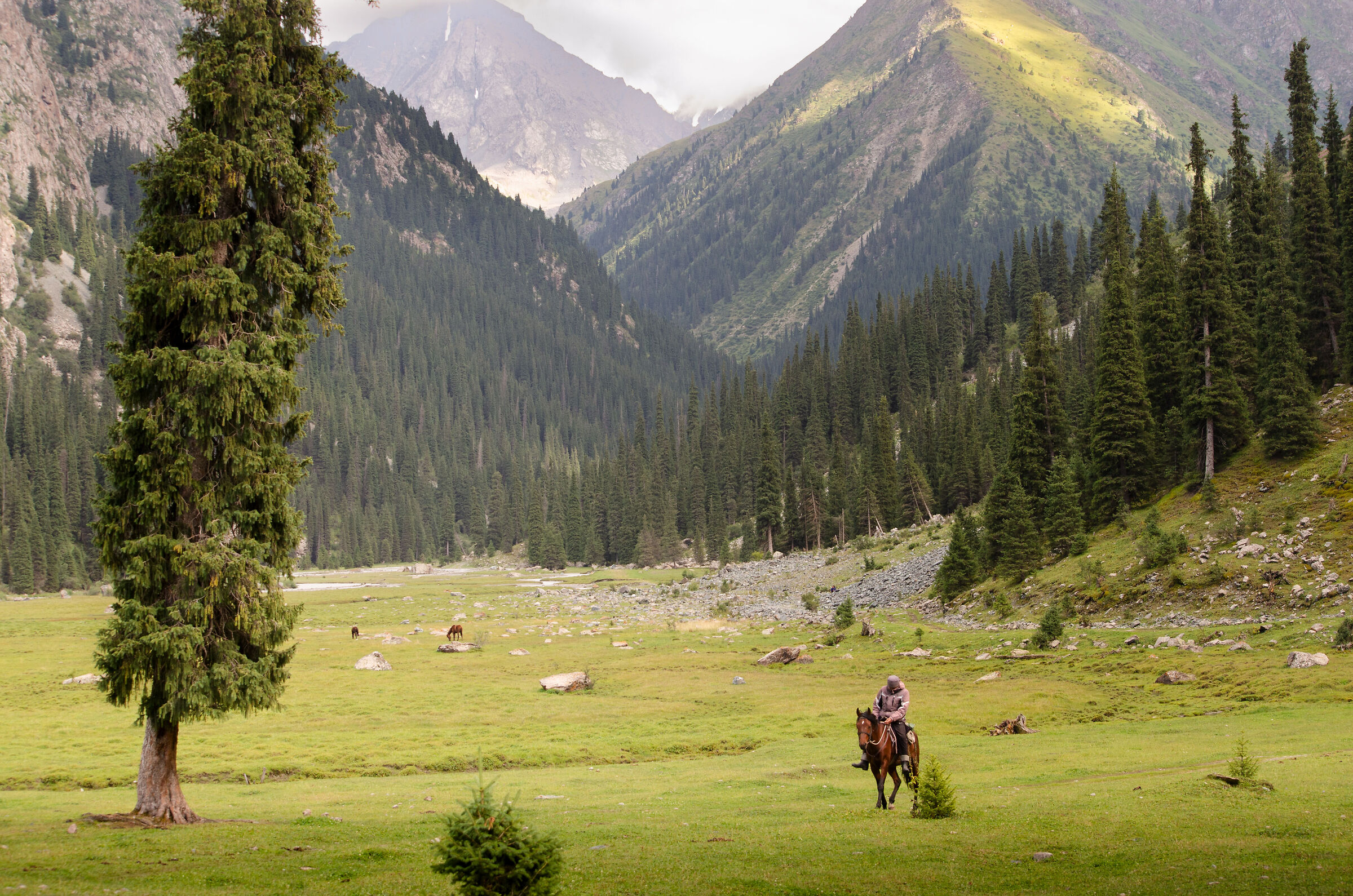 A cavallo tra le montagne