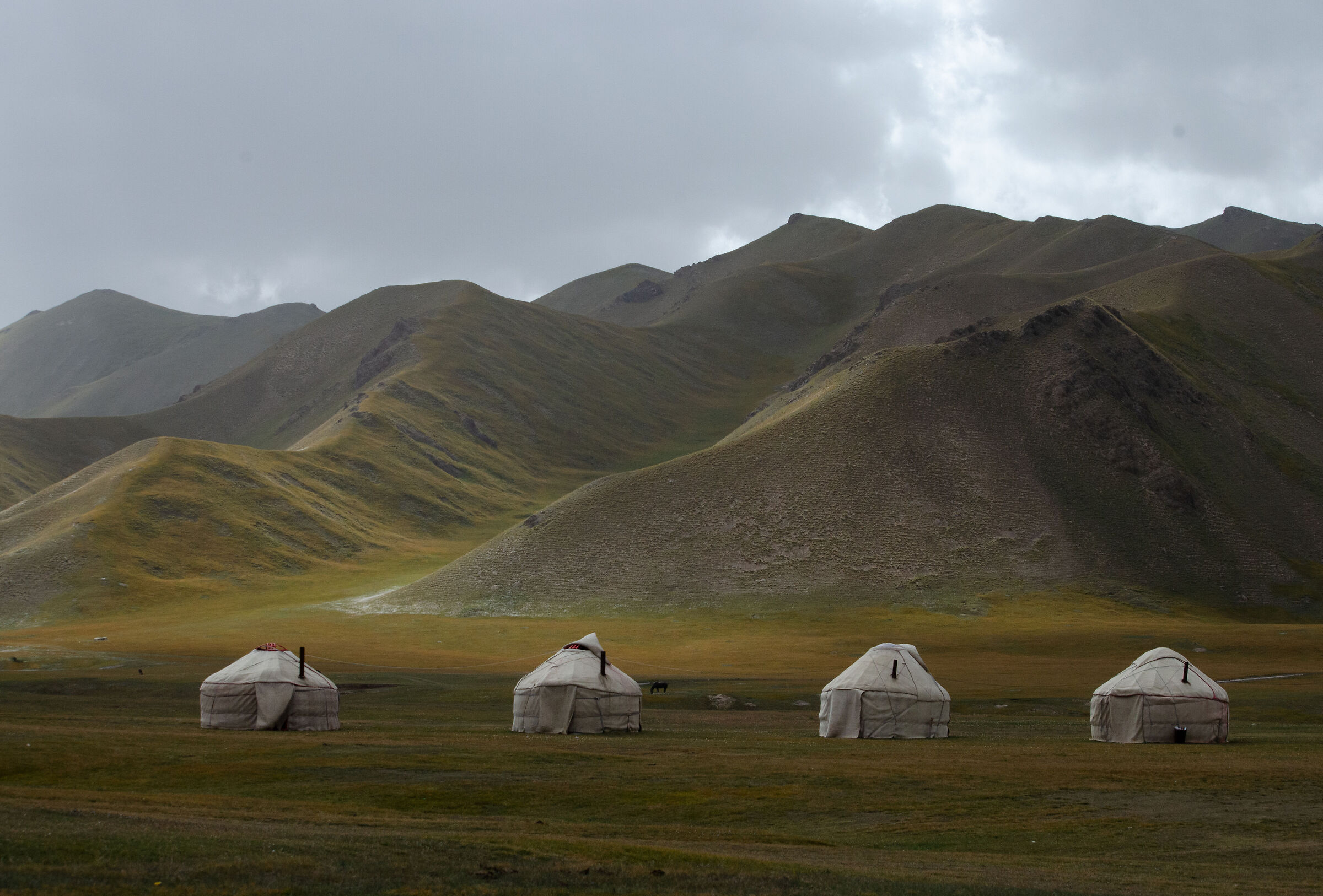 Yurts